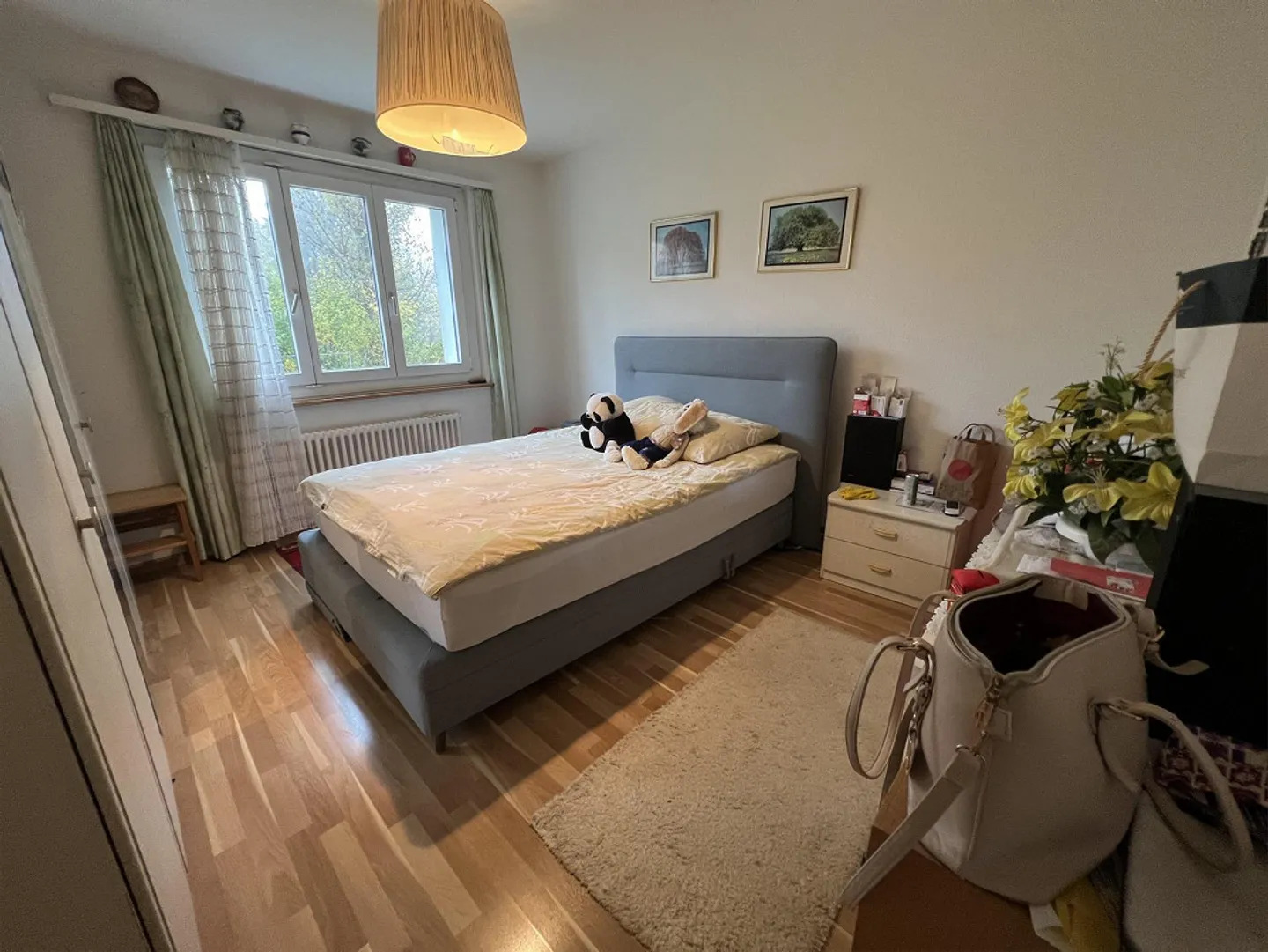 Appartamento 3 locali a Dietikon - Foto 3 di 6