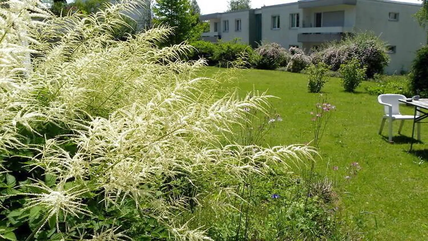 Charmantes Studio in Bolligen - Foto 8 von 9