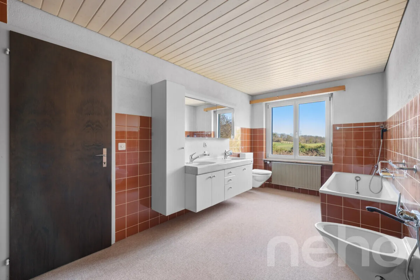 Panorama Single-Family House with a View of the Mariastein Monastery - Photo 7 of 12