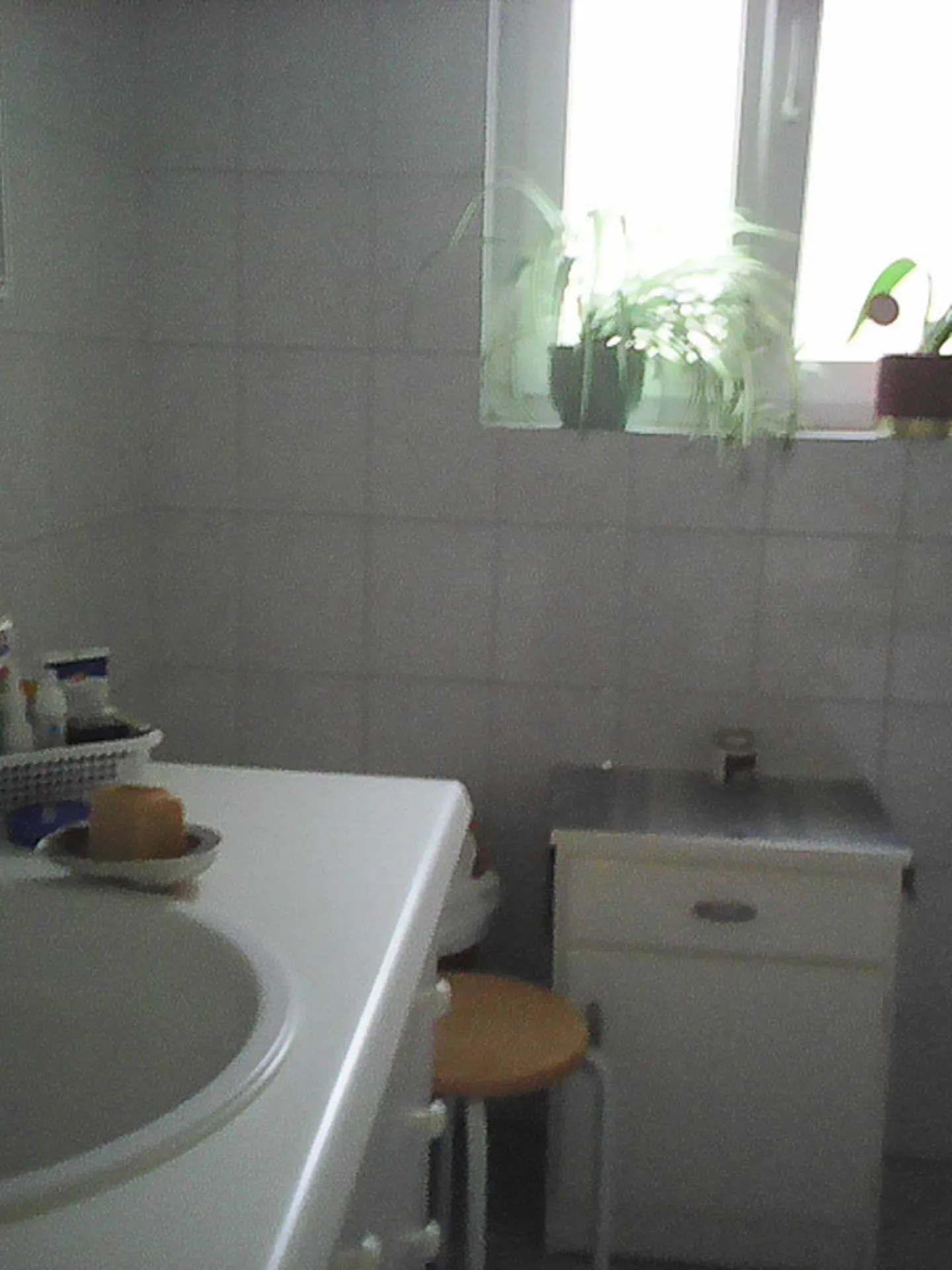 Große 3,5-Zimmer-Wohnung zur Miete in Cadro mit offener Aussicht und Garten - Foto 4 von 4