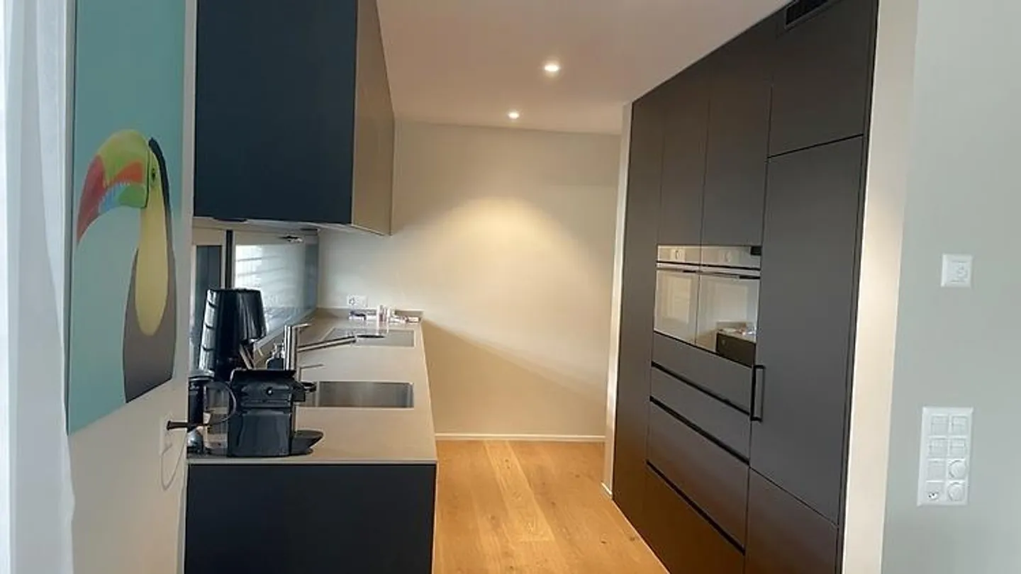 4½ ROOM APARTMENT IN UNTERÄGERI (ZG), FURNISHED, TEMPORARY - Photo 3 of 10