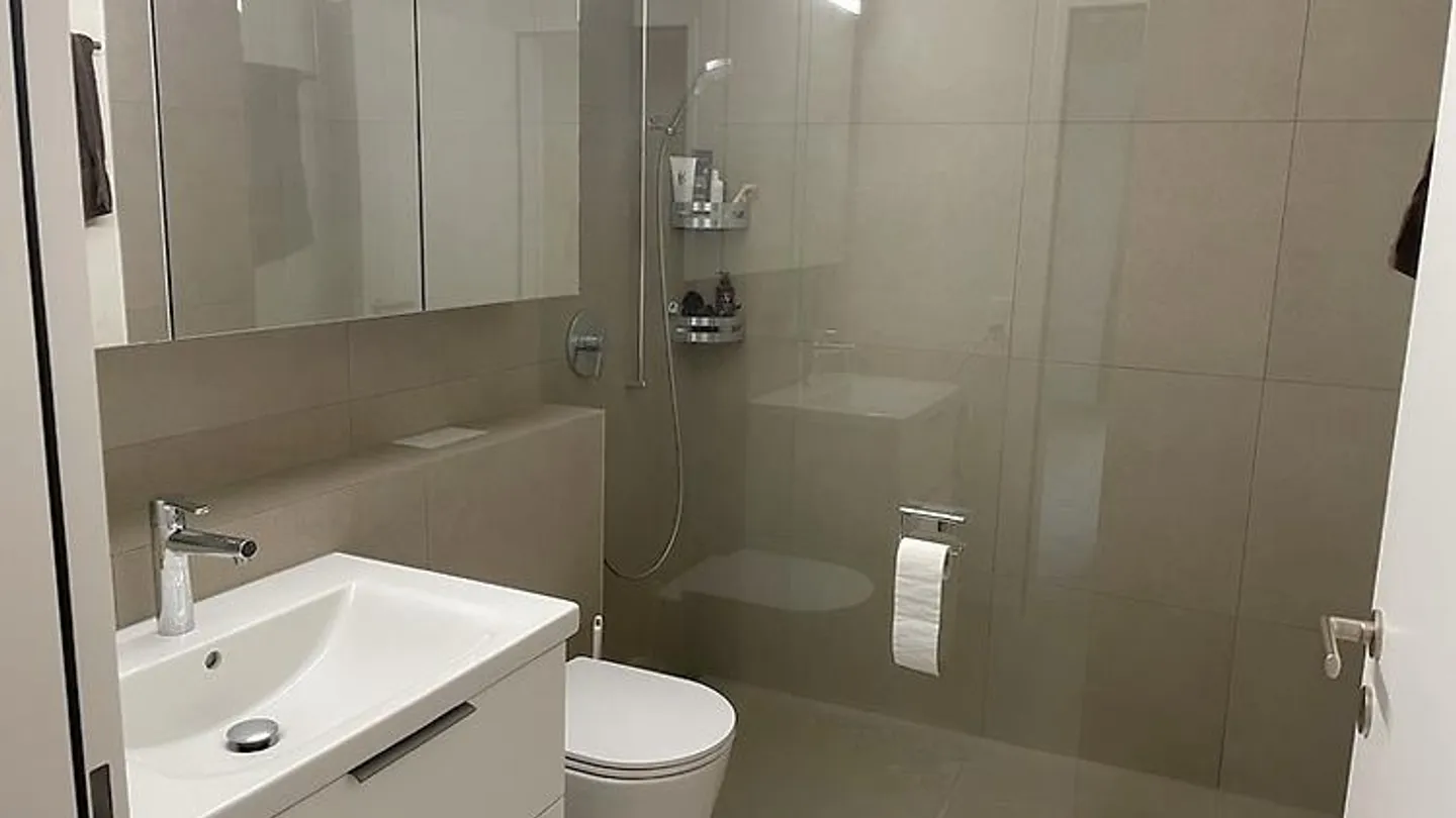 4½ ROOM APARTMENT IN UNTERÄGERI (ZG), FURNISHED, TEMPORARY - Photo 8 of 10