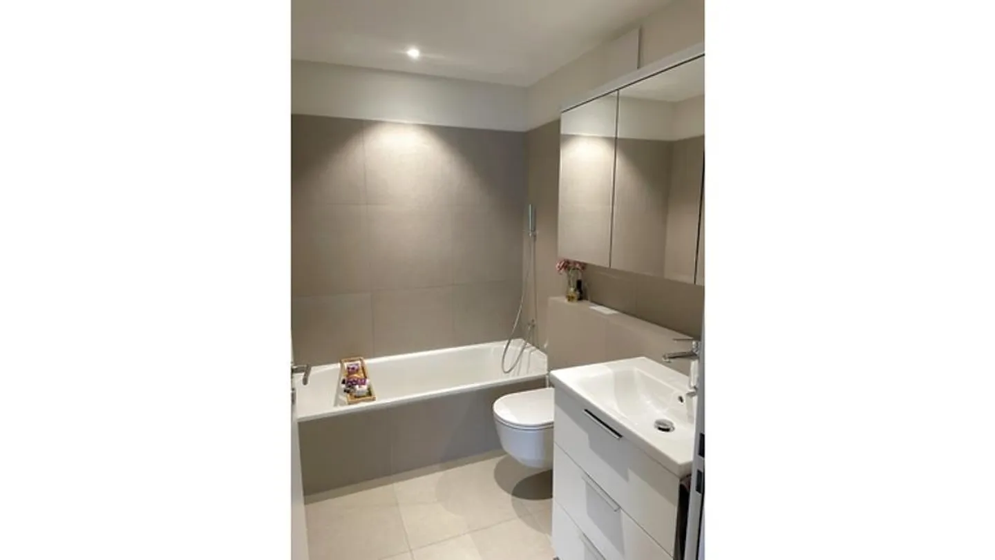 4½ ROOM APARTMENT IN UNTERÄGERI (ZG), FURNISHED, TEMPORARY - Photo 9 of 10