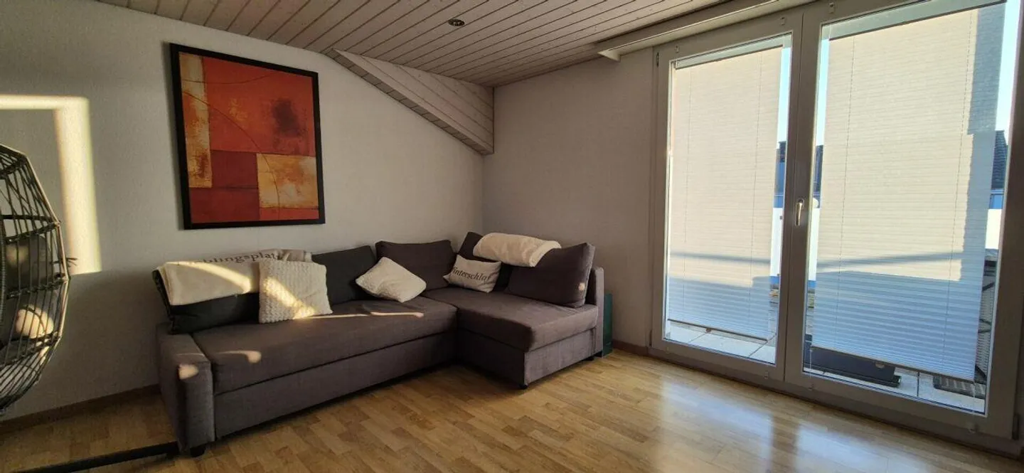 Appartamento attico moderno e luminoso - Foto 2 di 5