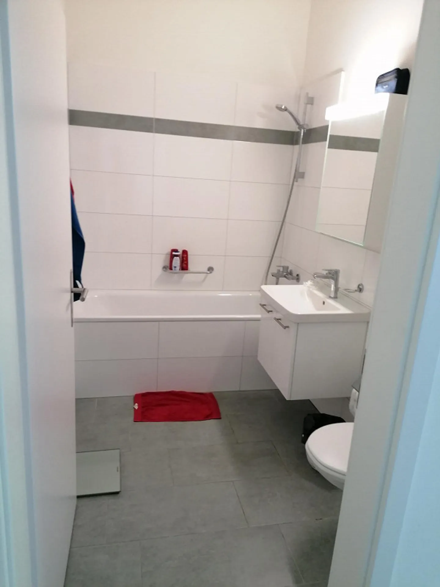 1.5 Room Apartment - Photo 5 of 5