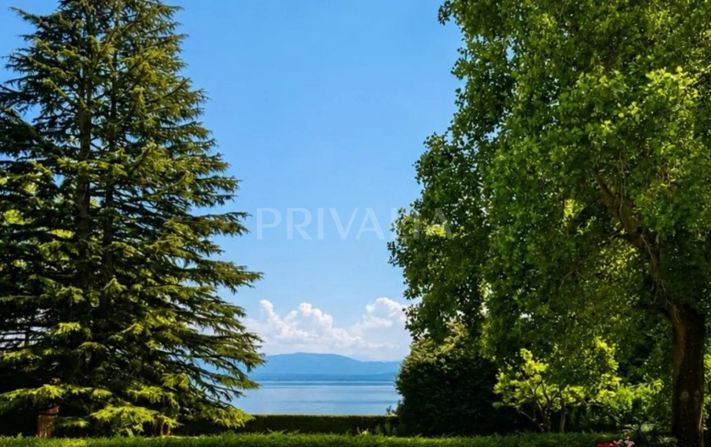 Propriété pieds dans l'eau avec ponton privé - Photo 1 of 2