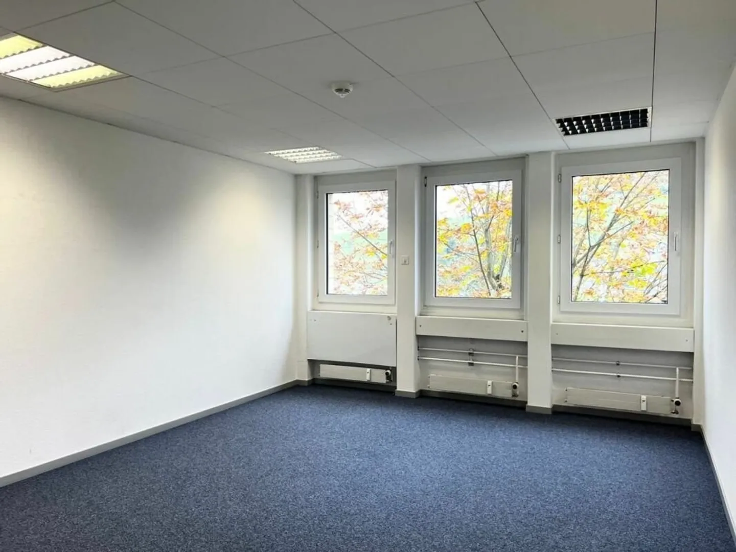 Versatile Commercial Space - Photo 7 of 10