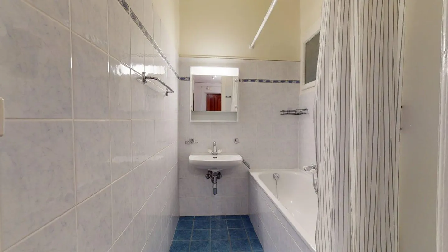 Comfortable 2-Room Apartment with Balcony in Central Geneva – Rue de Lausanne 83! - Photo 6 of 7