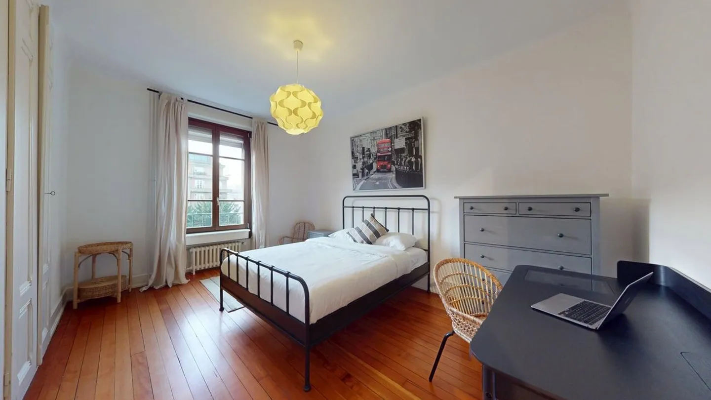 Comfortable 2-Room Apartment with Balcony in Central Geneva – Rue de Lausanne 83! - Photo 4 of 7