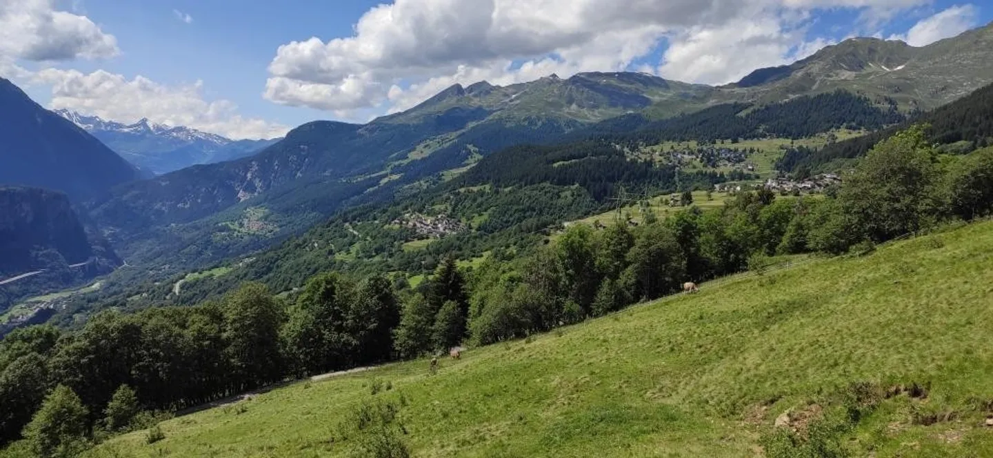 Charmantes Haus auf drei Ebenen - Foto 19 von 29