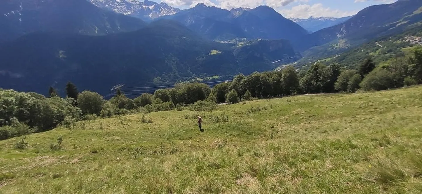 Charmantes Haus auf drei Ebenen - Foto 28 von 29