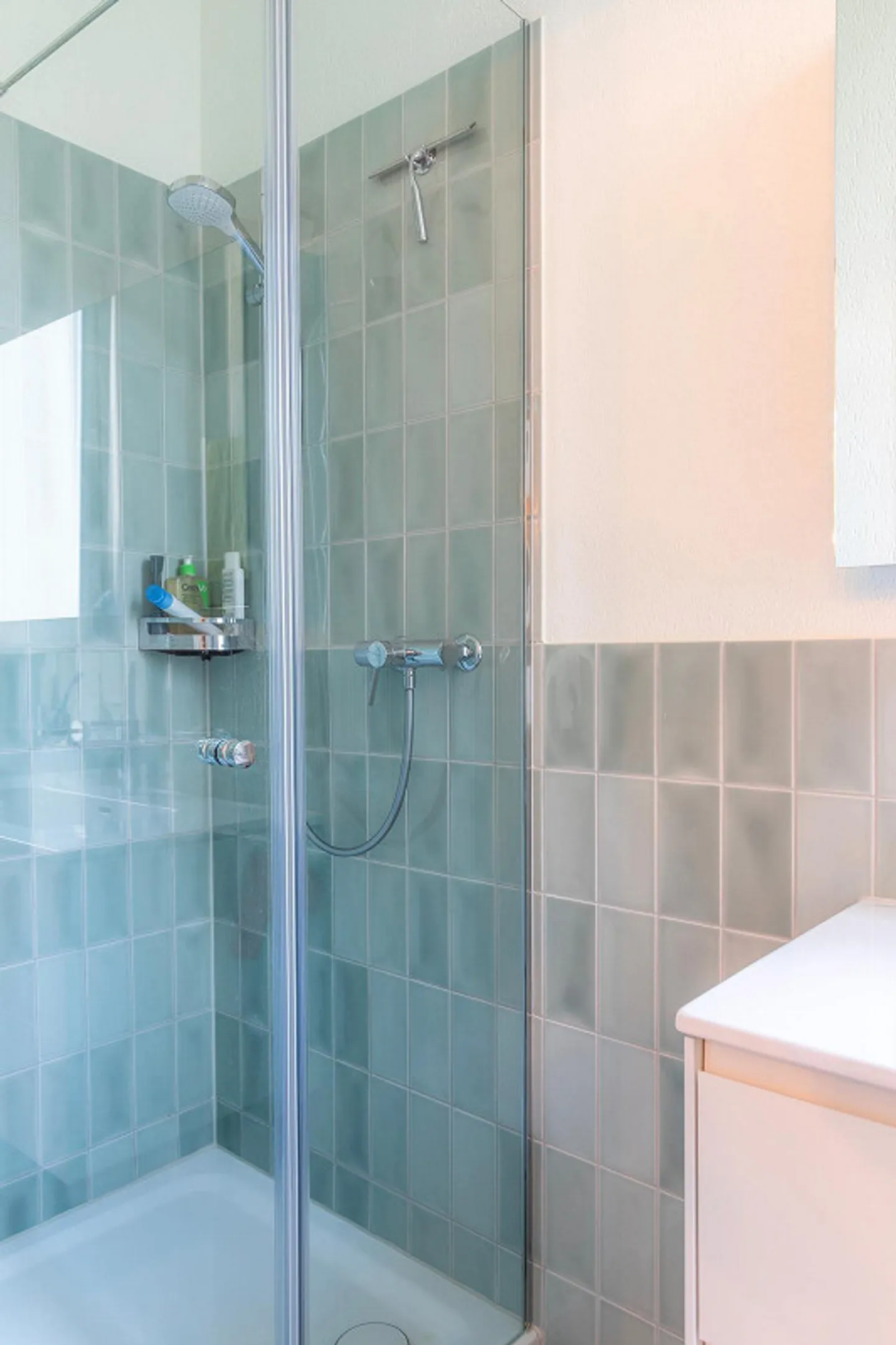 Characterful Townhouse with Three Apartments and Commercial Spaces - Photo 7 of 12
