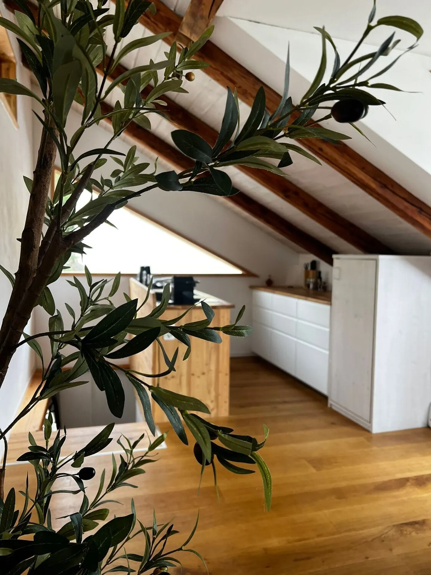 Charmantes Tiny House am Rhein - Foto 2 von 6