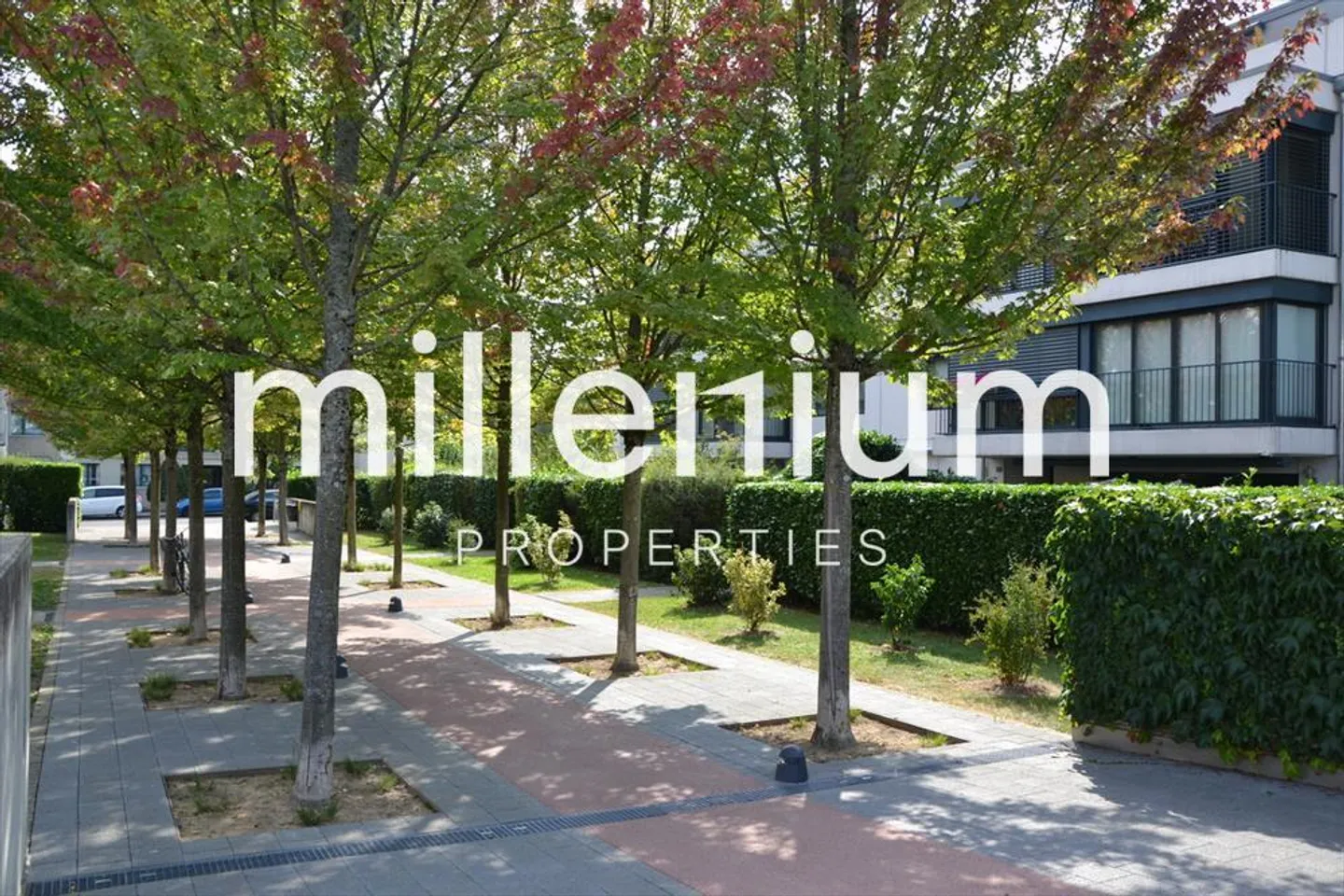 Appartamento attico attraversante senza affacci con terrazza - Foto 2 di 9