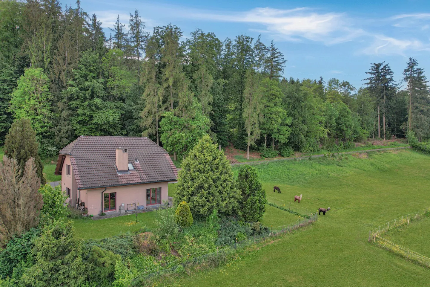 Idillio familiare con vista mozzafiato - Una casa piena di tranquillità, natura e qualità della vita - Foto 1 di 13