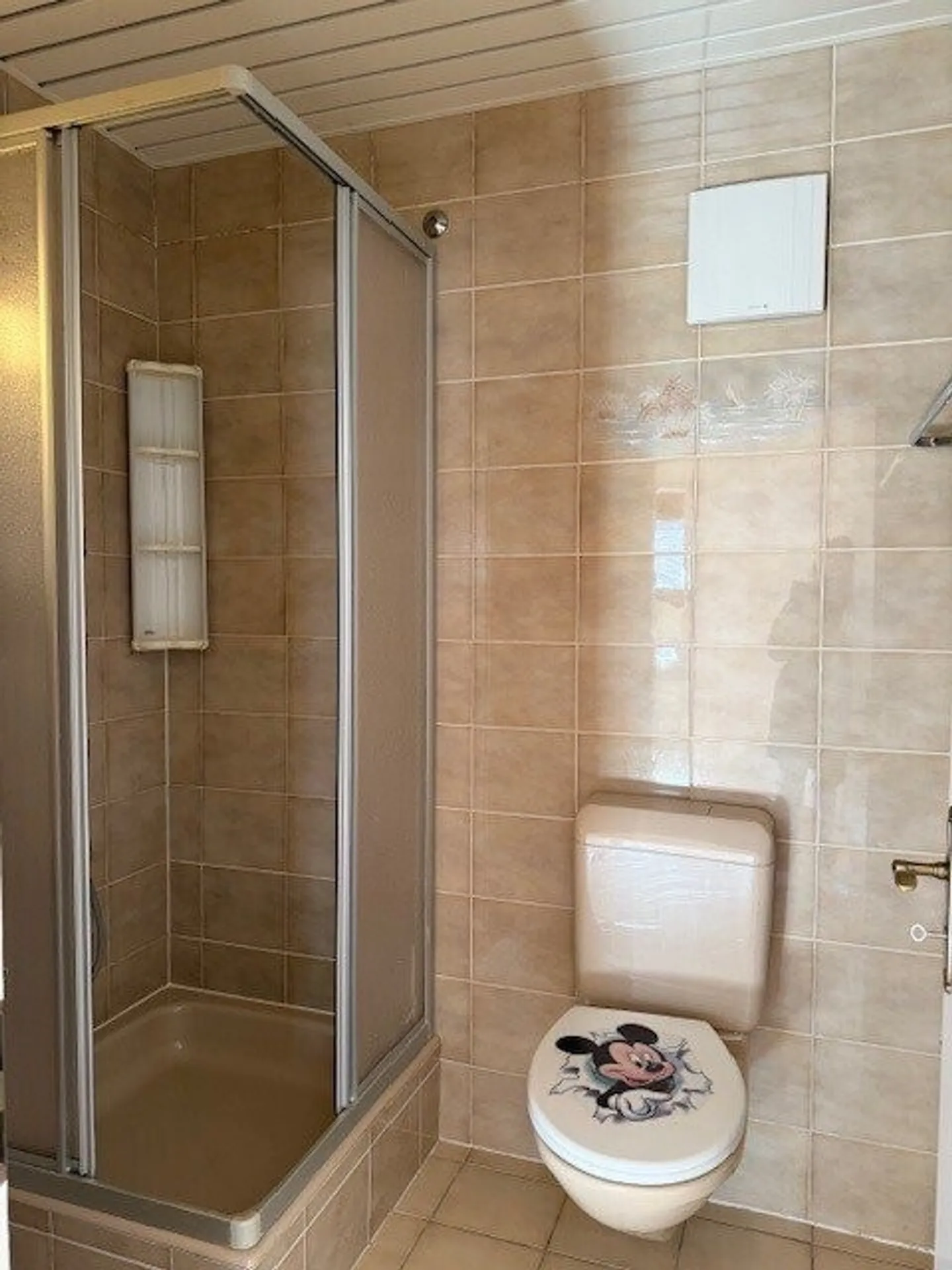 Ampio e luminoso appartamento ristrutturato di 4.5 locali al 1° piano - Foto 7 di 12