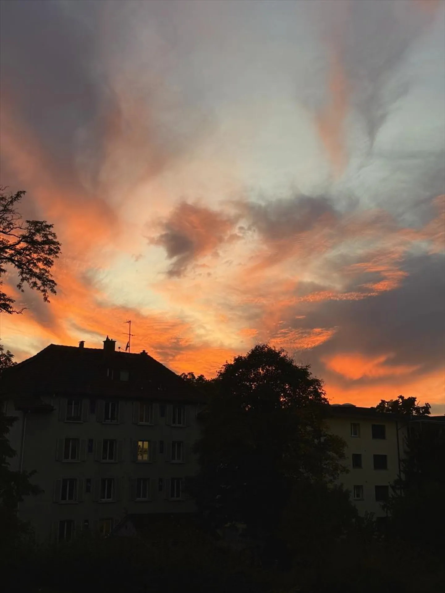 Attraktive Wohnung an bevorzugter Wohnlage - Foto 9 von 10