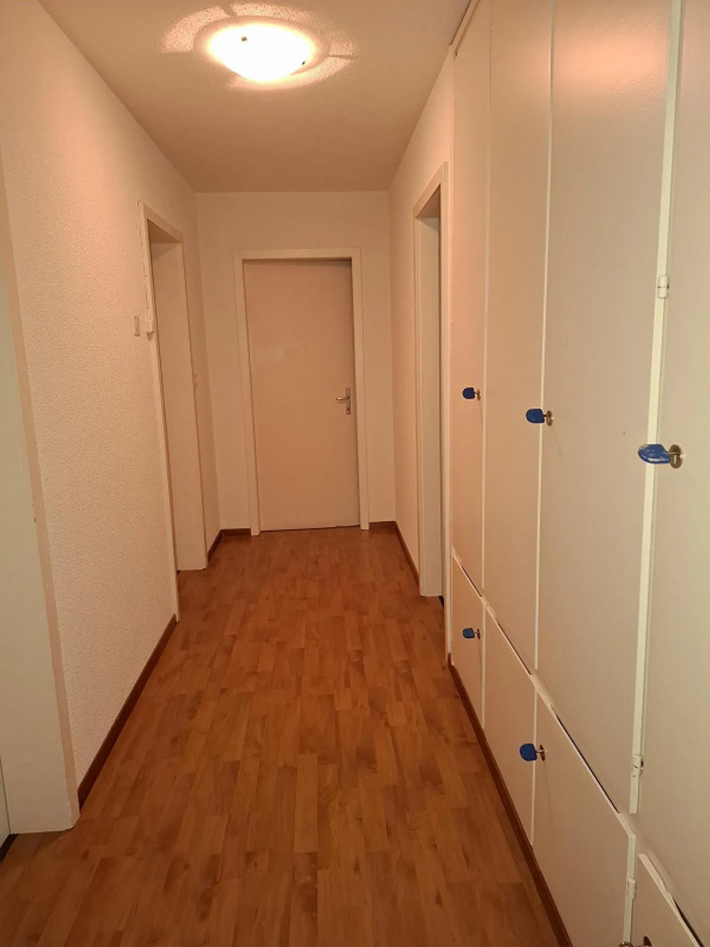 Appartement temporaire de 3 pièces à Rafz - Photo 7 sur 8