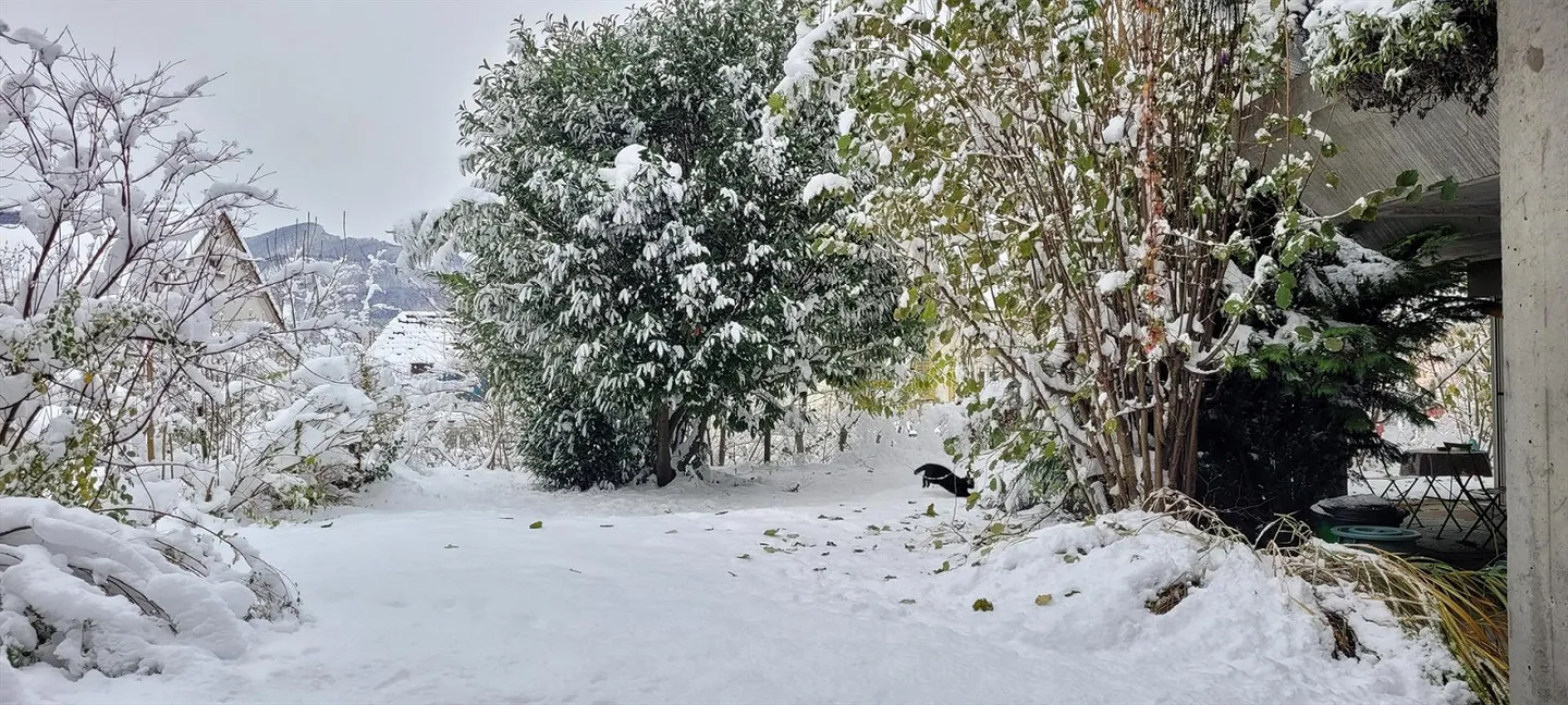 Ground-floor apartment with garden in a quiet location - Photo 5 of 11