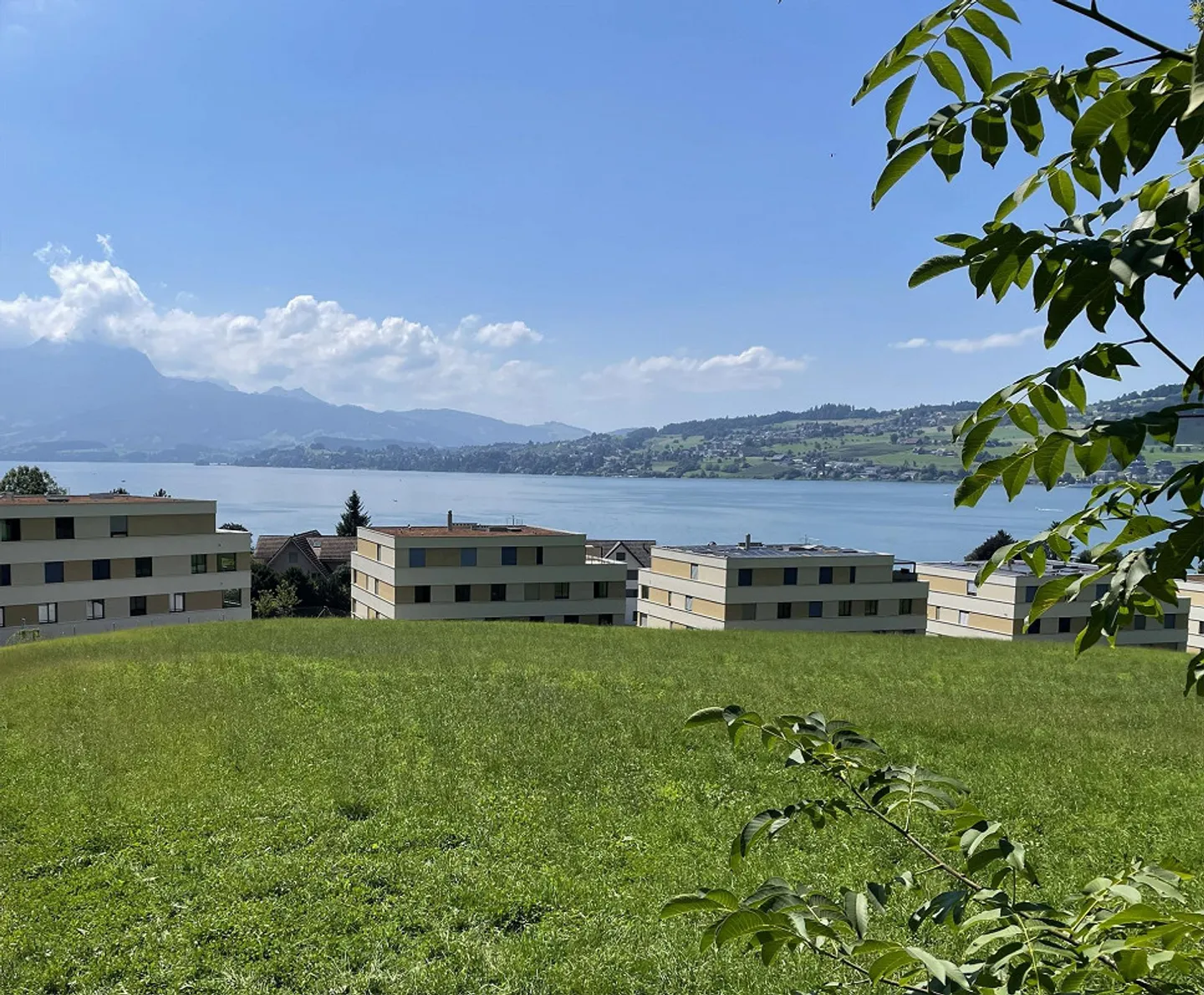 Steinmatt am Rubibach - Exclusive 5.5-room detached houses - Photo 1 of 7