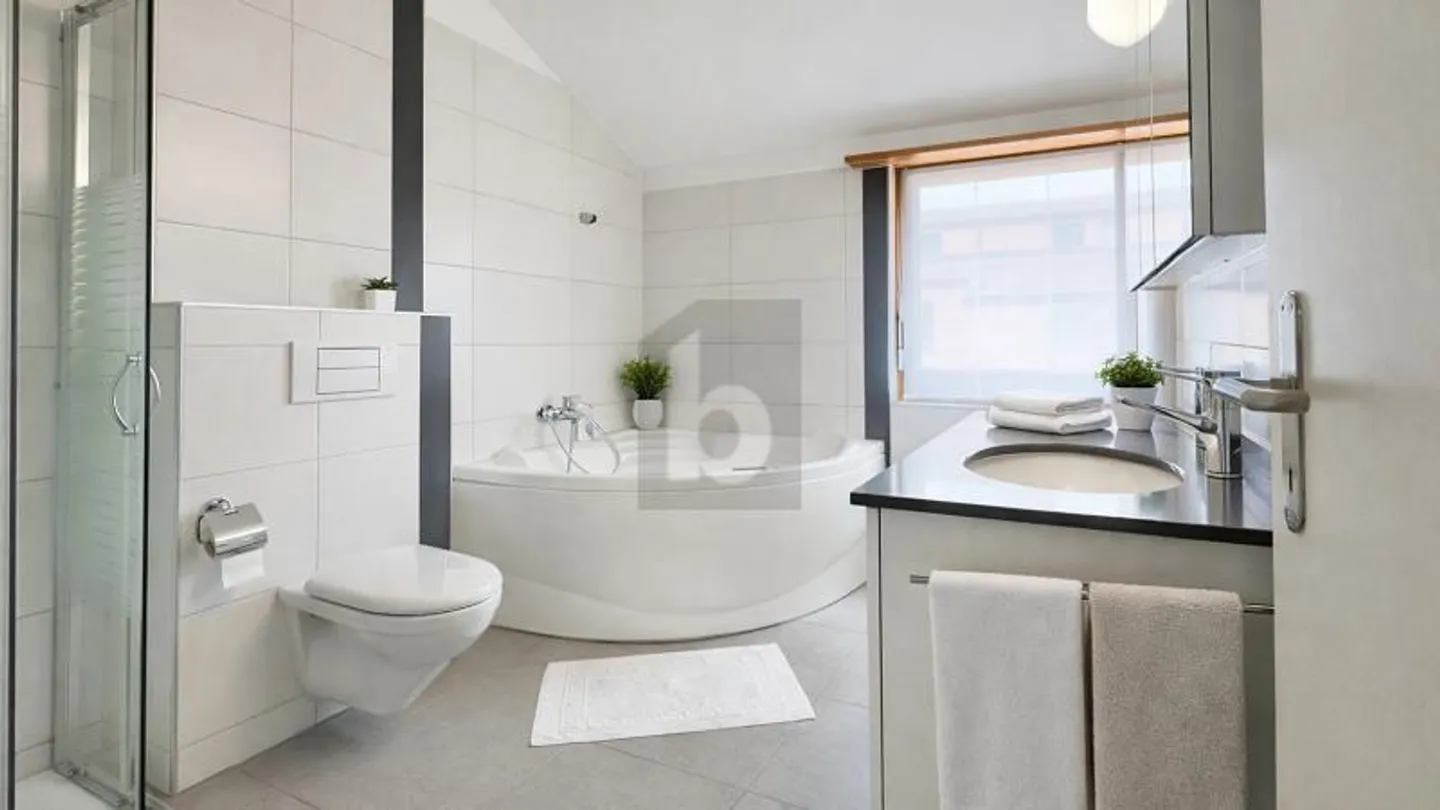 SPACIEUX, BAIGNÉ DE LUMIÈRE ET CENTRAL - Photo 5 sur 6