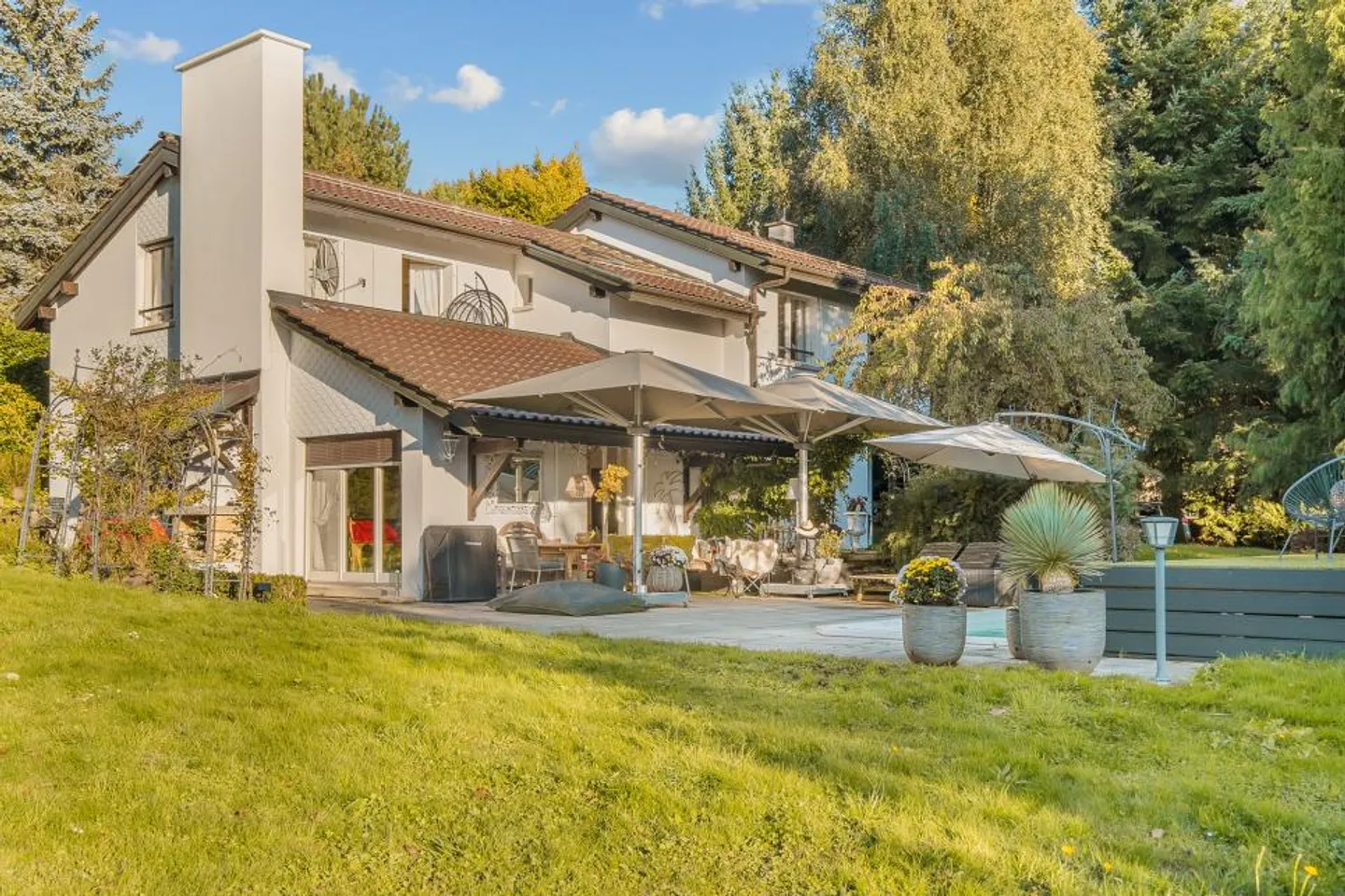 PROPRIETÀ INSOLITA SU UN GRANDE TERRENO COPERTO DA ALBERI - Foto 1 di 13