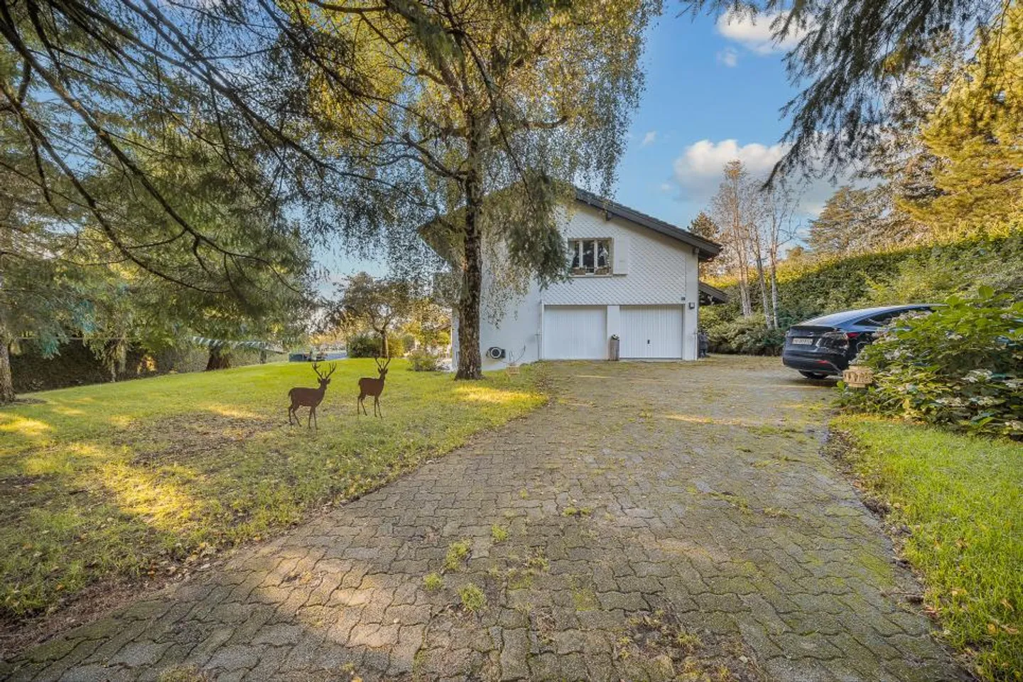 PROPRIETÀ INSOLITA SU UN GRANDE TERRENO COPERTO DA ALBERI - Foto 4 di 13