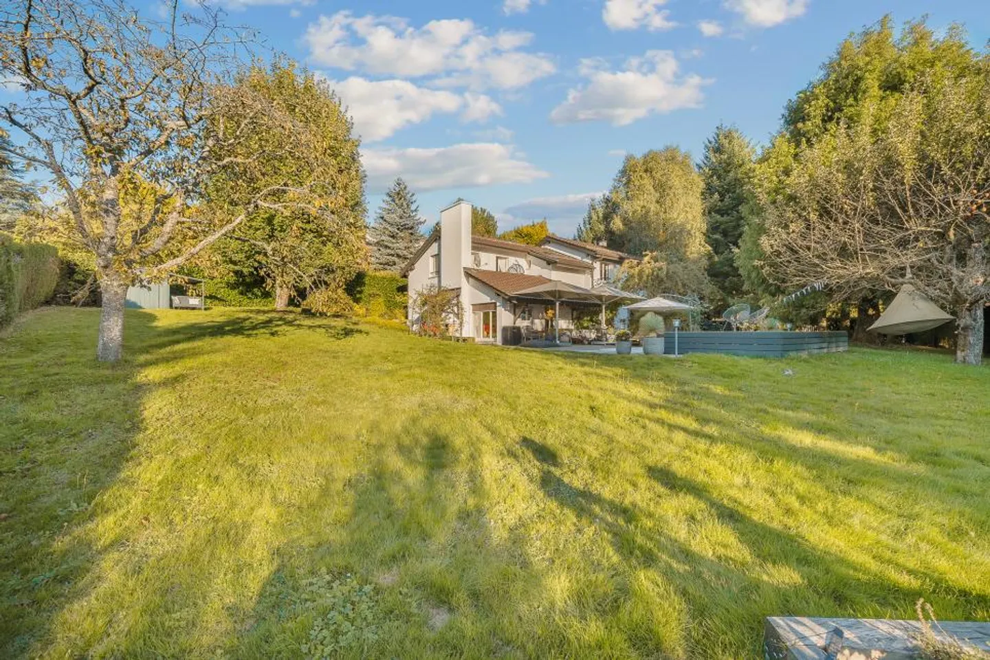 PROPRIETÀ INSOLITA SU UN GRANDE TERRENO COPERTO DA ALBERI - Foto 3 di 13