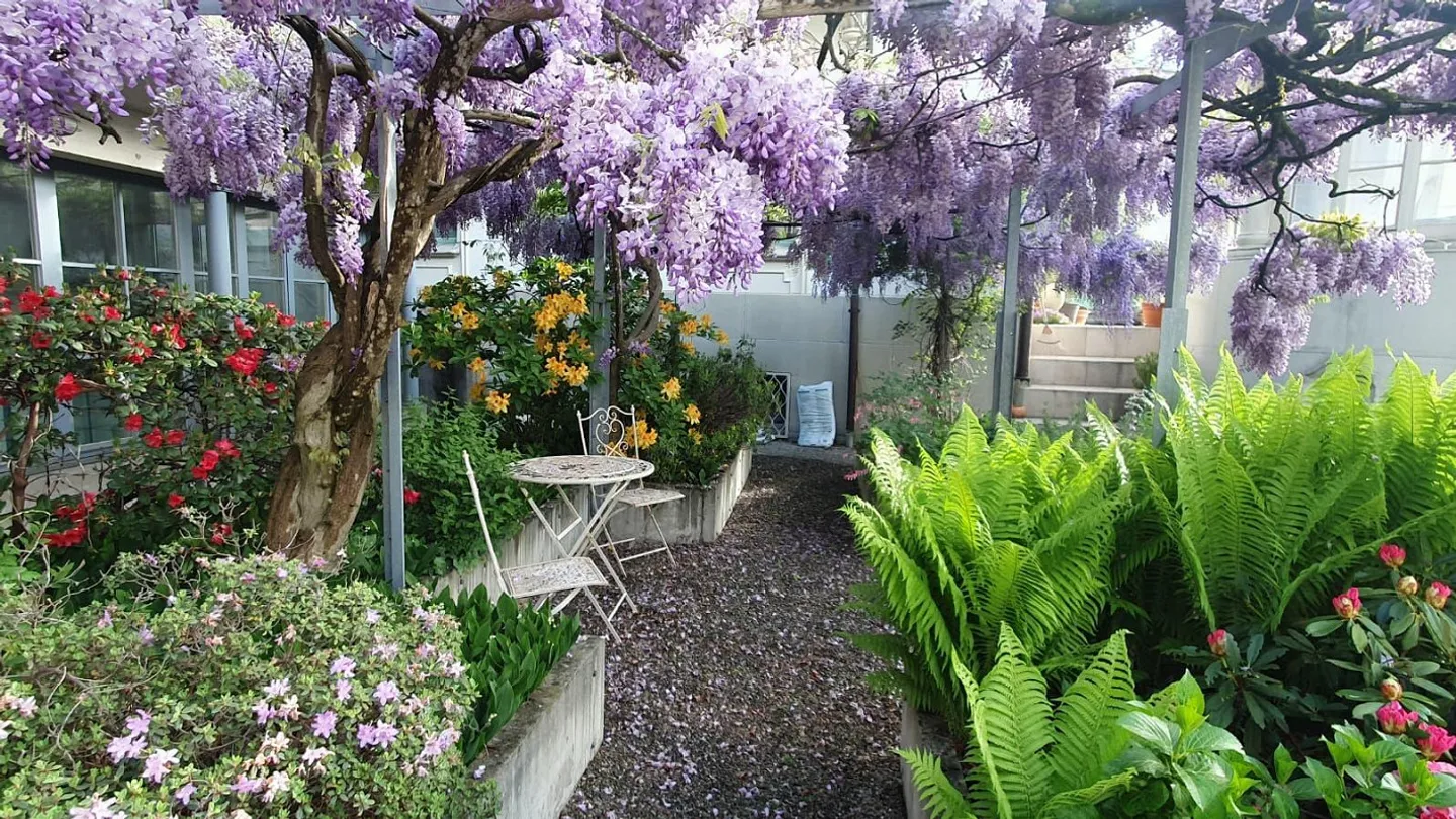 3.5-room maisonette apartment in the best residential area at Rosenberg - Photo 23 of 26