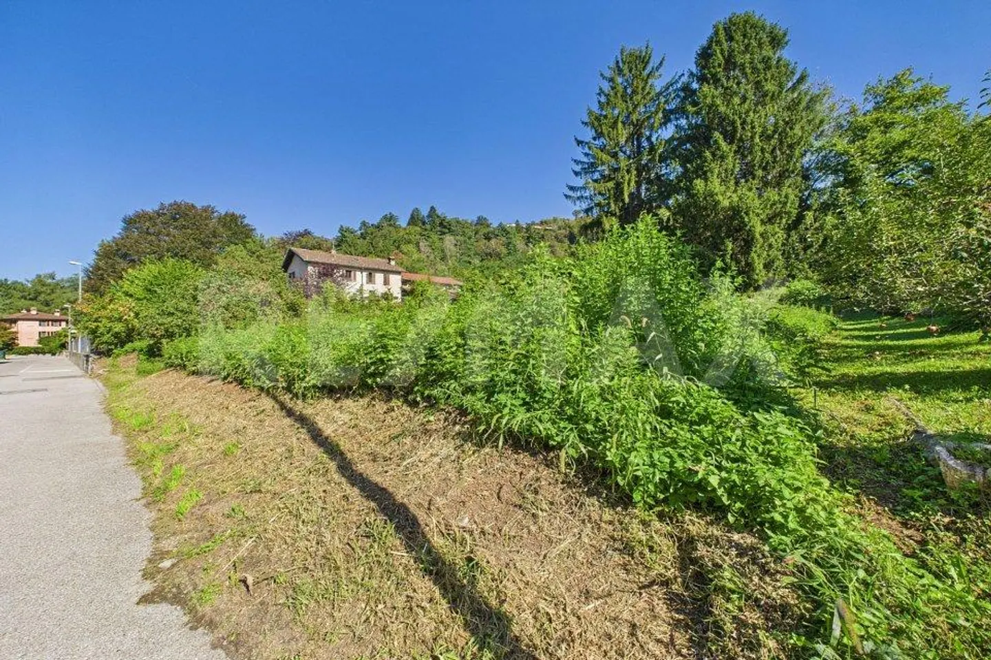 Residential land in a green and quiet area in Tresa - Photo 4 of 13
