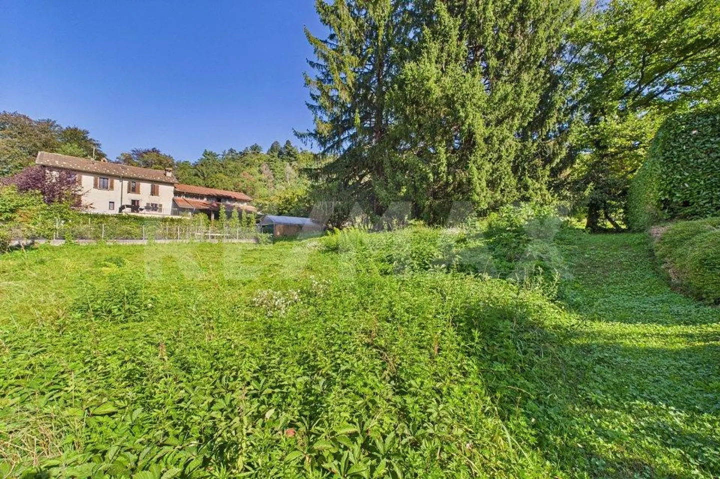 Residential land in a green and quiet area in Tresa - Photo 6 of 13