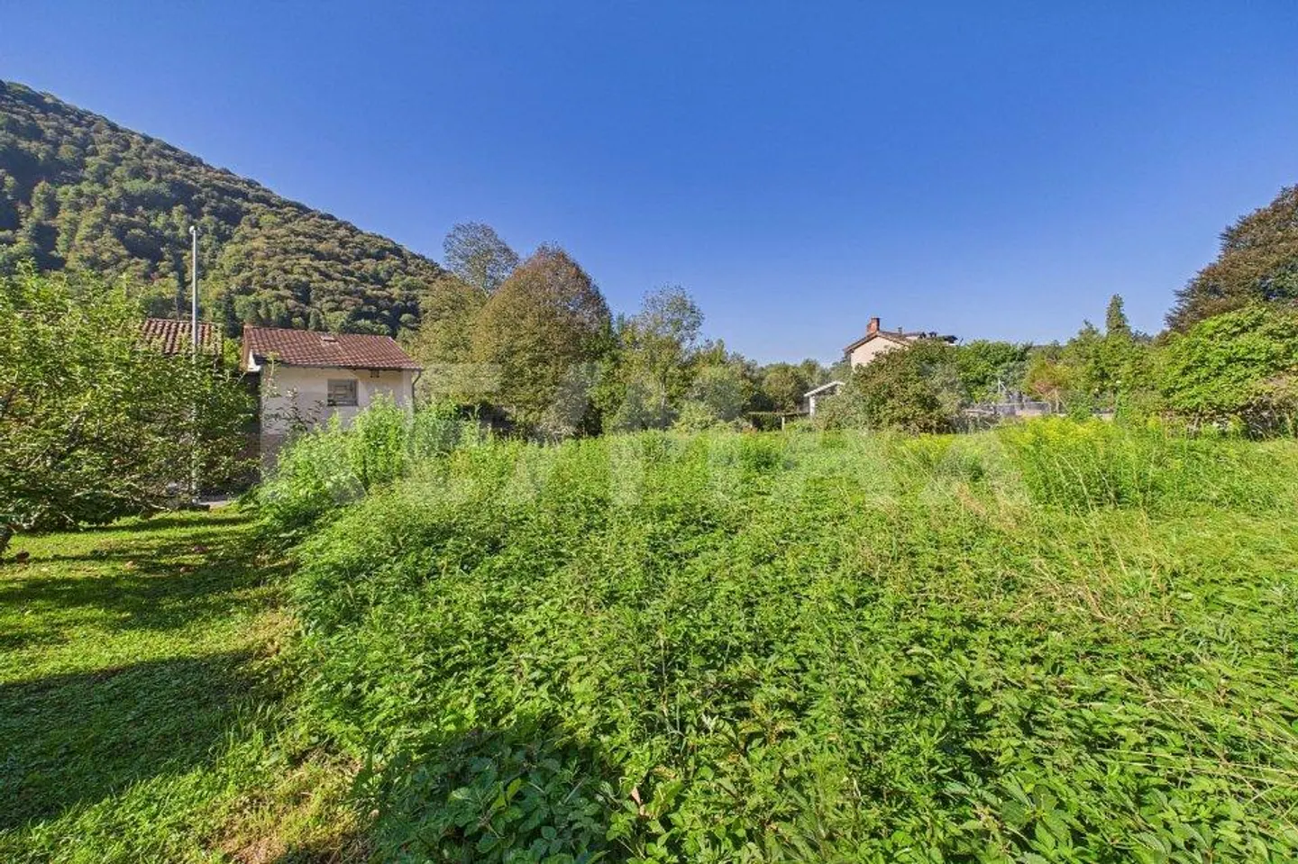 Residential land in a green and quiet area in Tresa - Photo 7 of 13