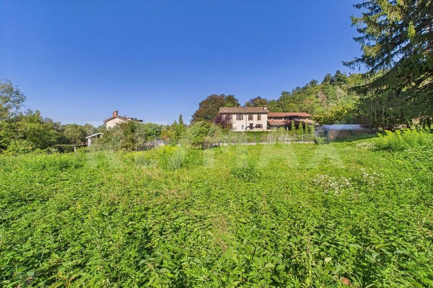 Residential land in a green and quiet area in Tresa - Photo 8 of 13
