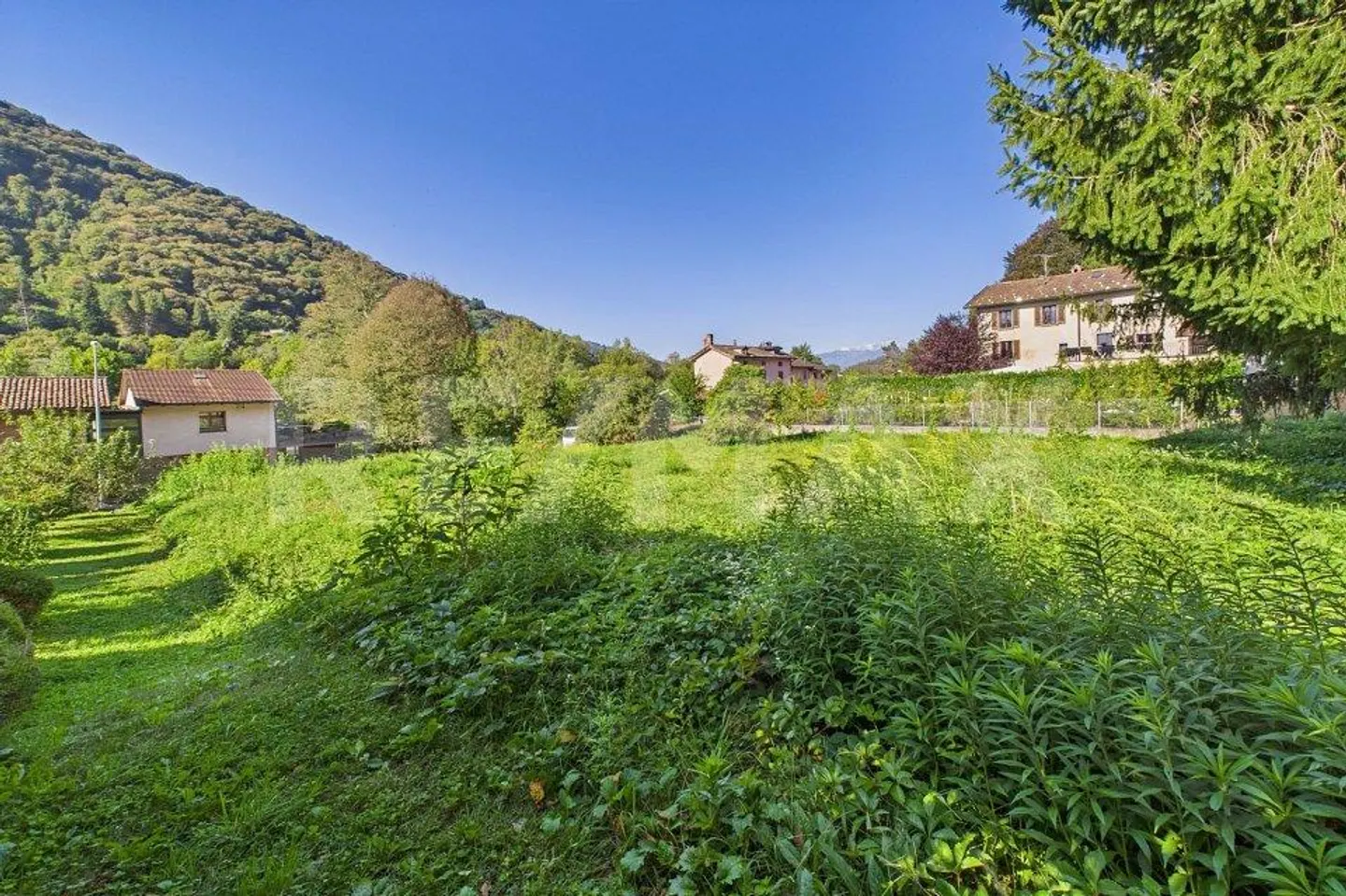 Residential land in a green and quiet area in Tresa - Photo 9 of 13