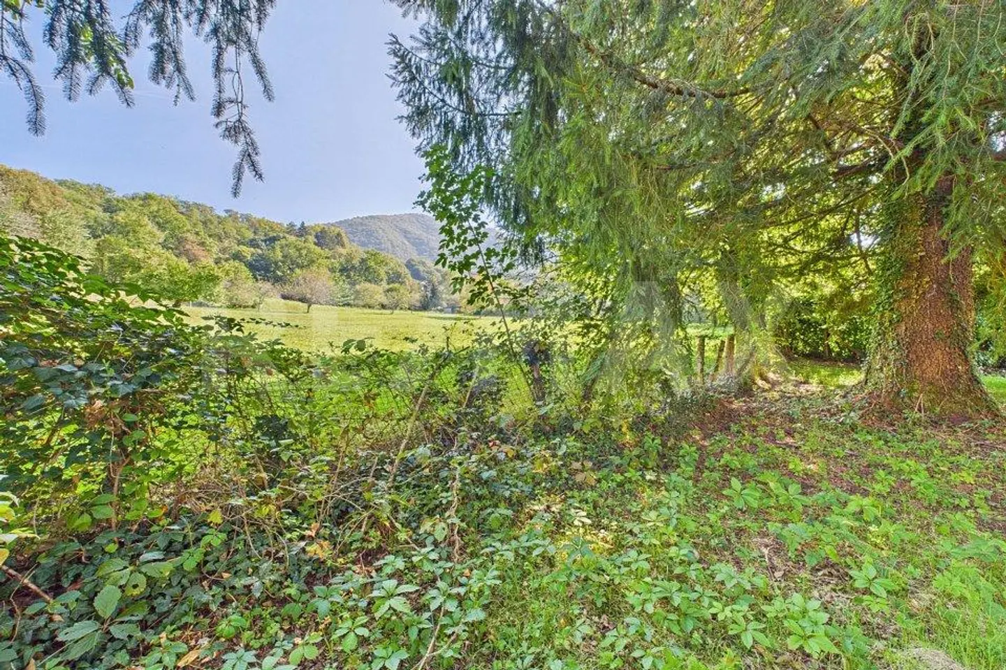 Residential land in a green and quiet area in Tresa - Photo 13 of 13