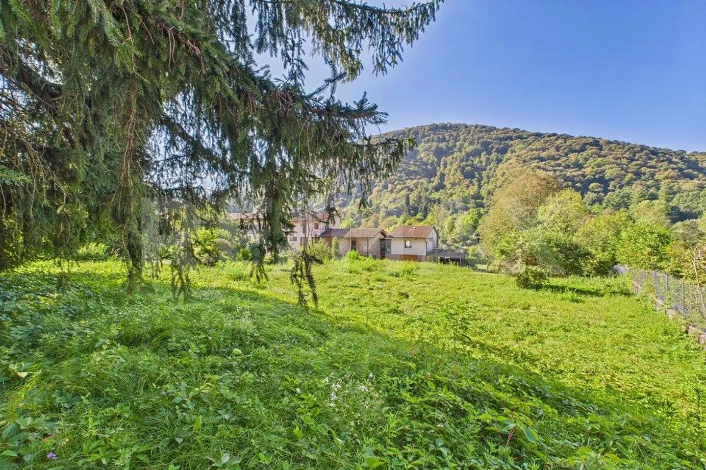 Residential land in a green and quiet area in Tresa - Photo 11 of 13