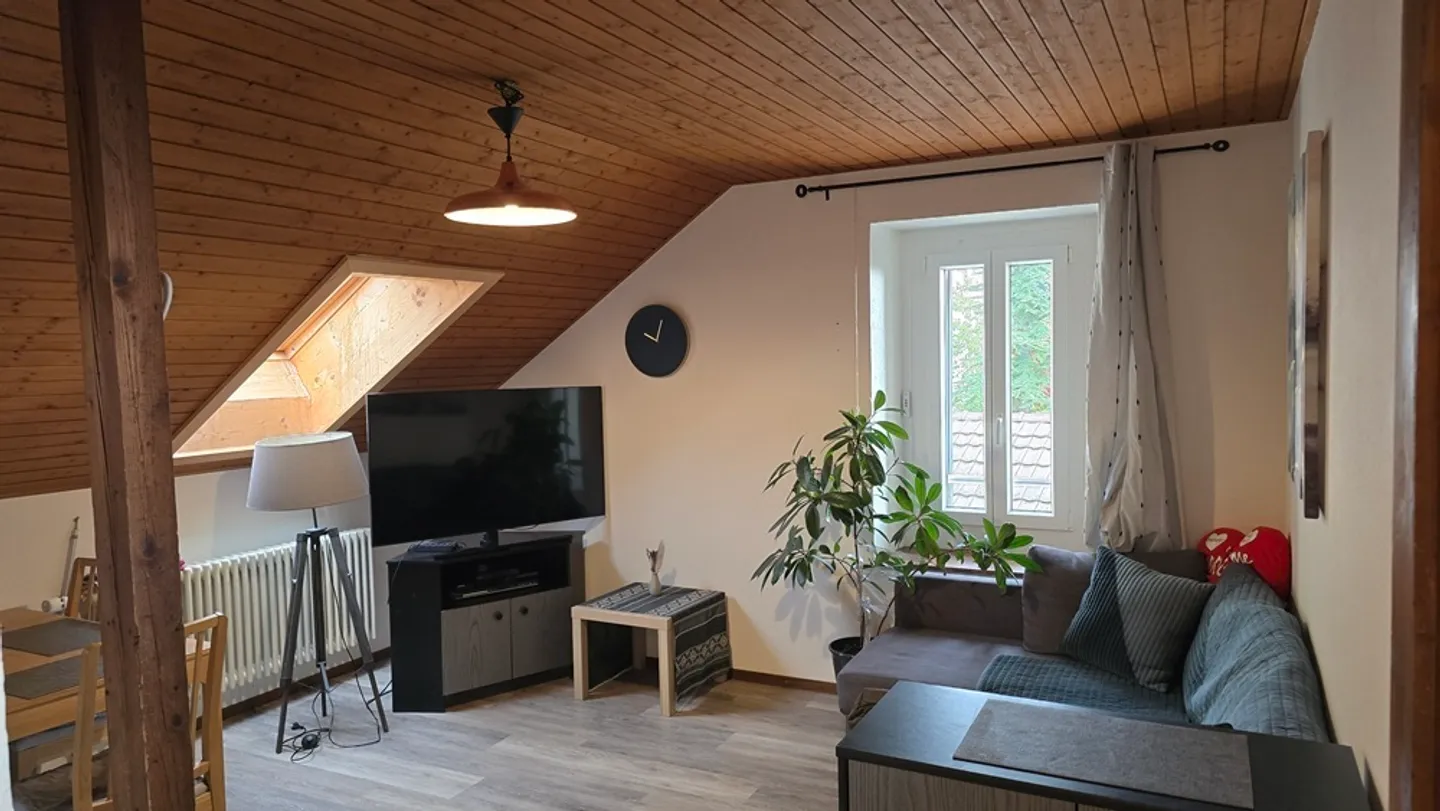 Incantevole appartamento di 3 stanze con vista nel cuore di Neuchâtel - Foto 1 di 9