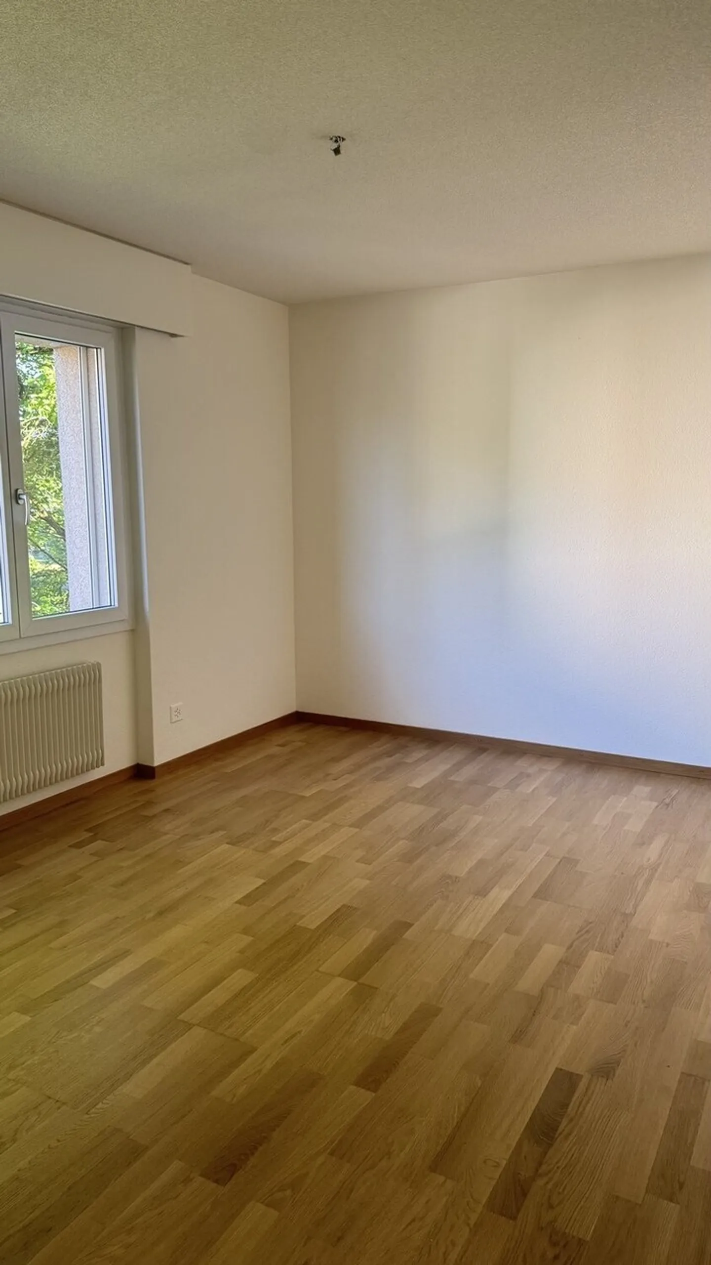 Charmante 4.5 Zimmer Wohnung - Foto 5 von 8
