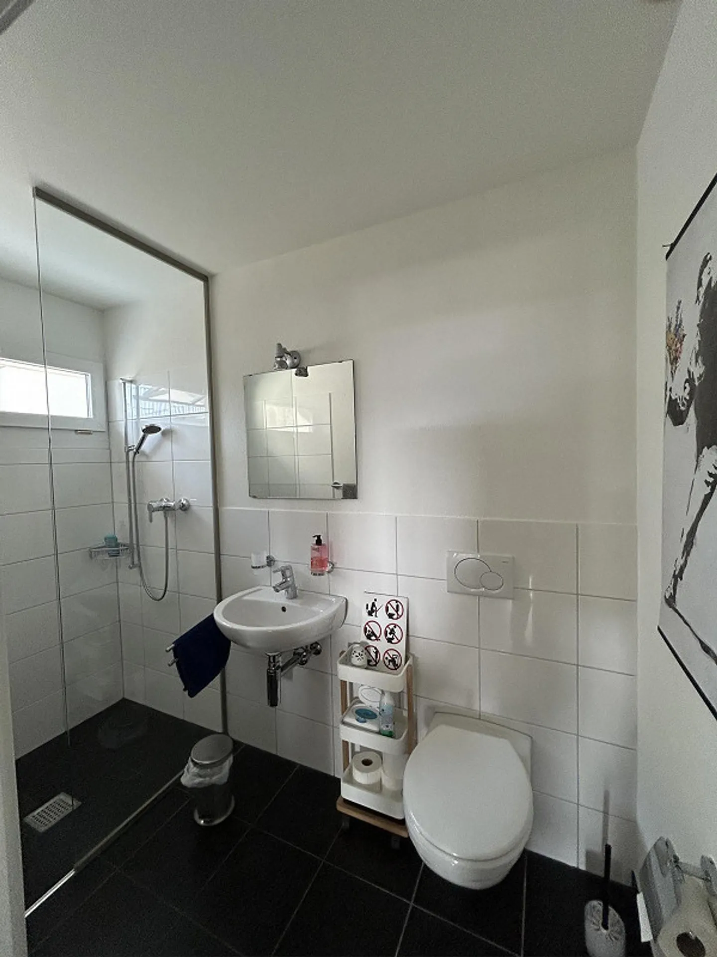 Living Above the Rooftops: Bright 5.5-Room Apartment with Terrace - Photo 11 of 11