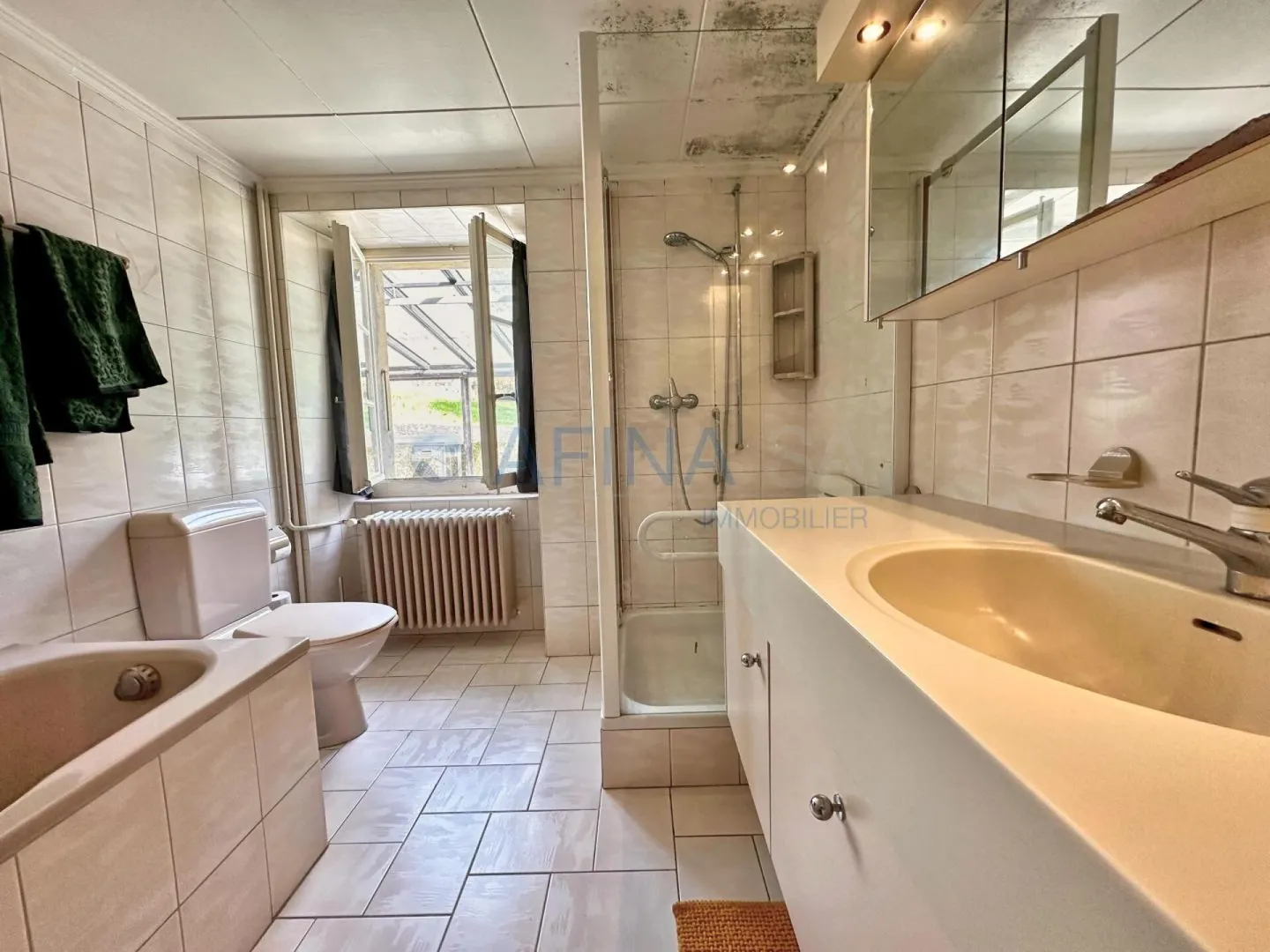 Maison 5.5 pièces à Daillens - Photo 3 sur 30