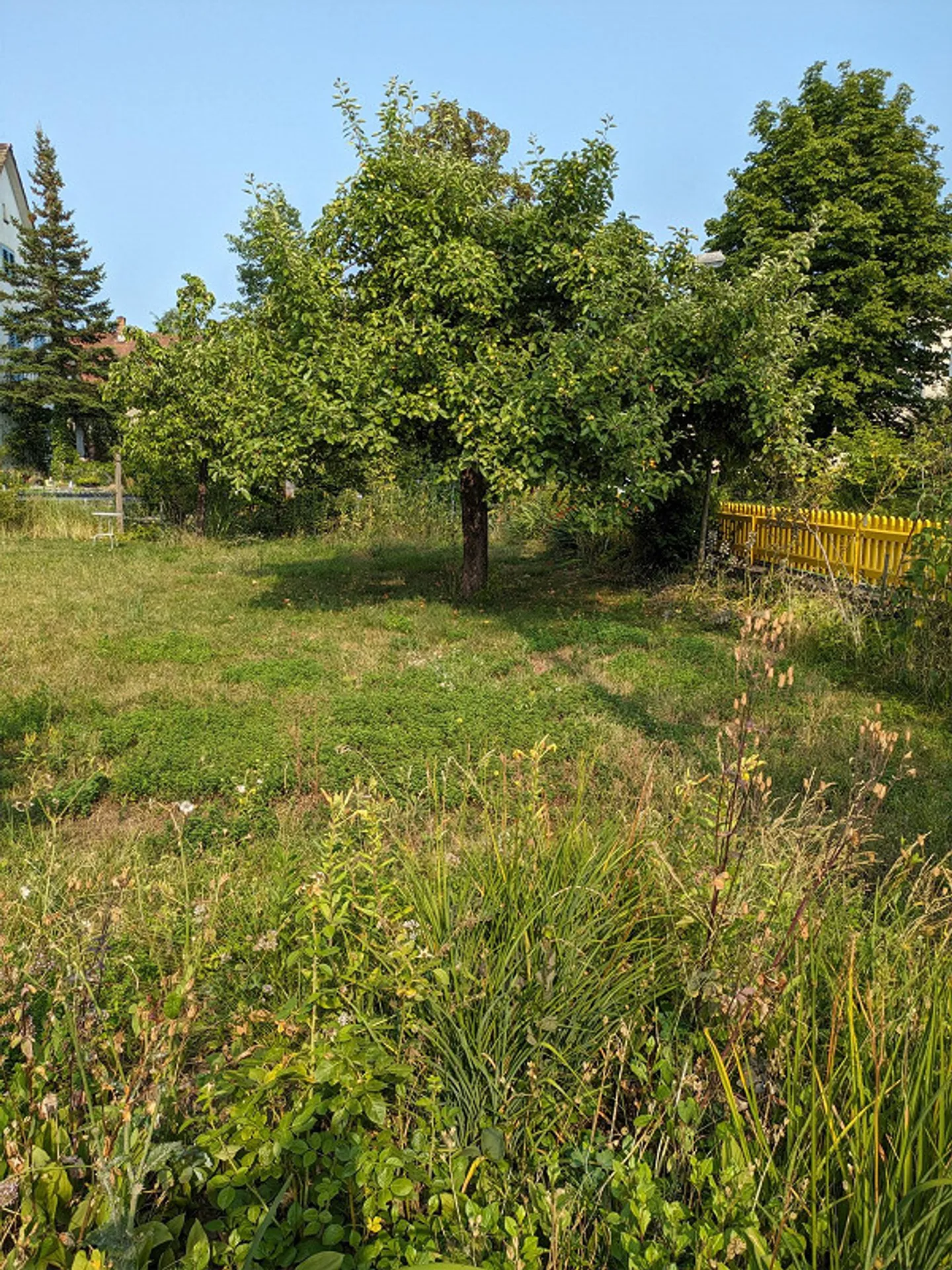 Très joli et confortable appartement sous les combles de 3,5 pièces dans un ancien bâtiment - Photo 17 sur 17
