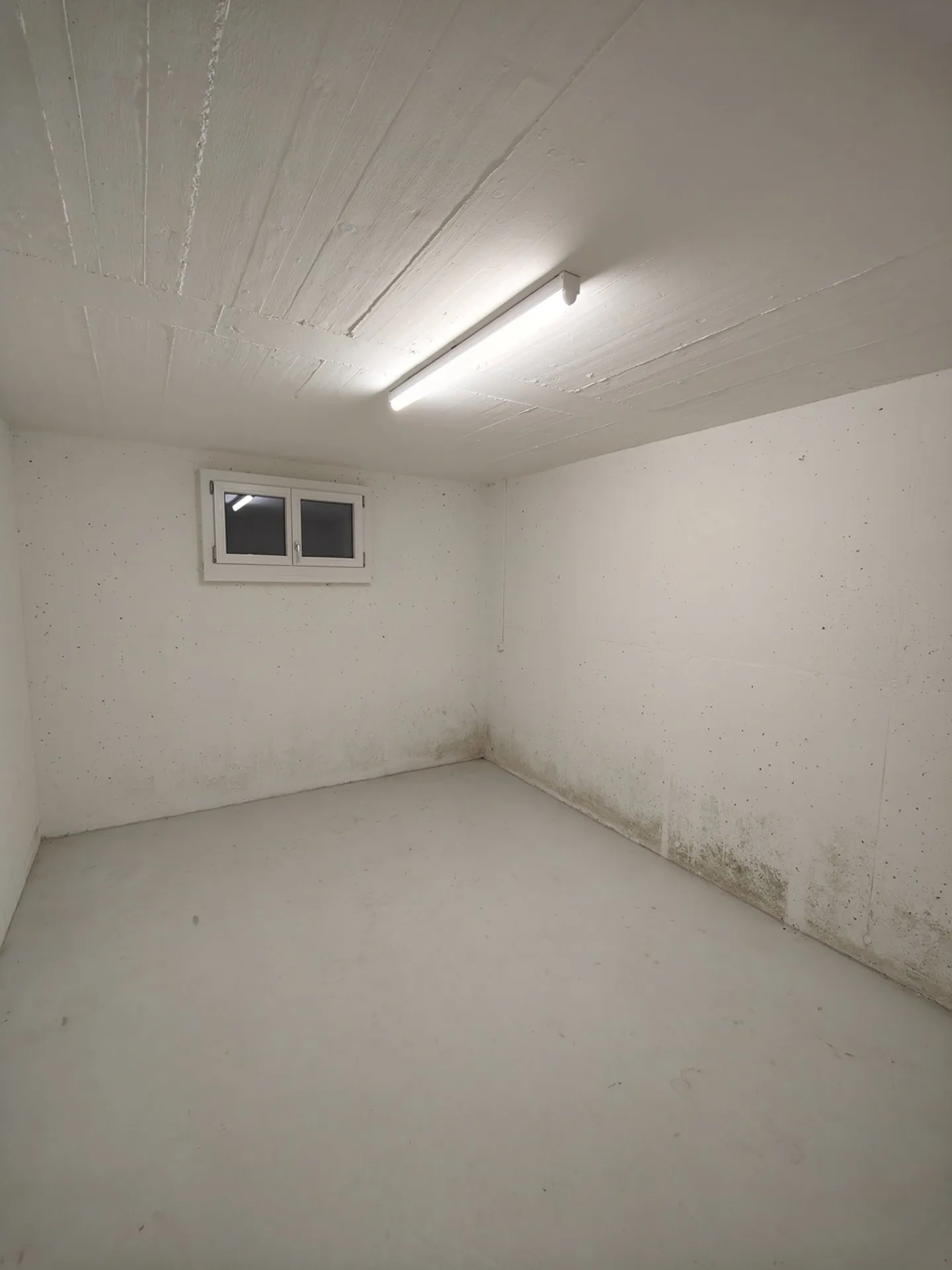 15m2 Lagerraum Rudolfstetten - Hofackerstrasse 48 - Foto 5 von 10