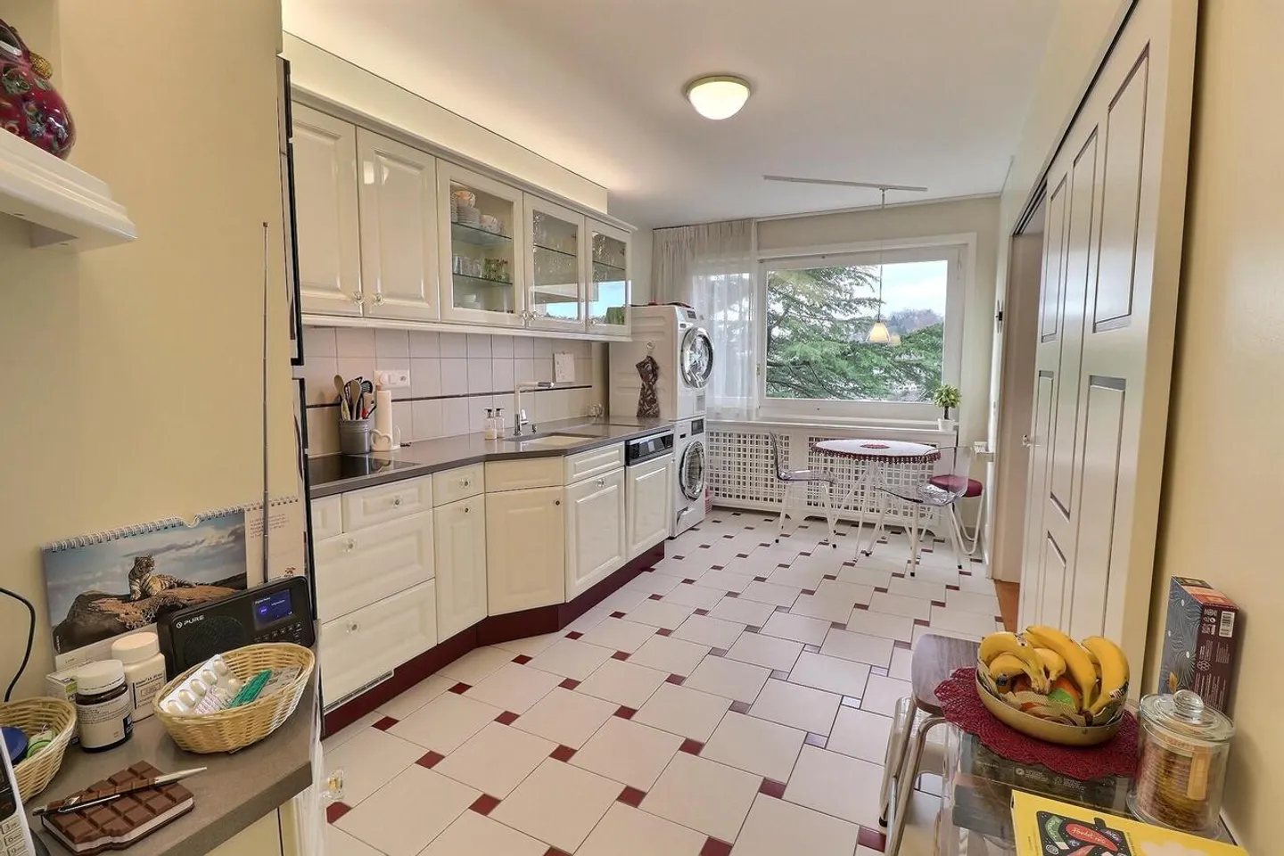 Magnificent apartment with lake view in occupied life annuity without rent - Photo 4 of 15