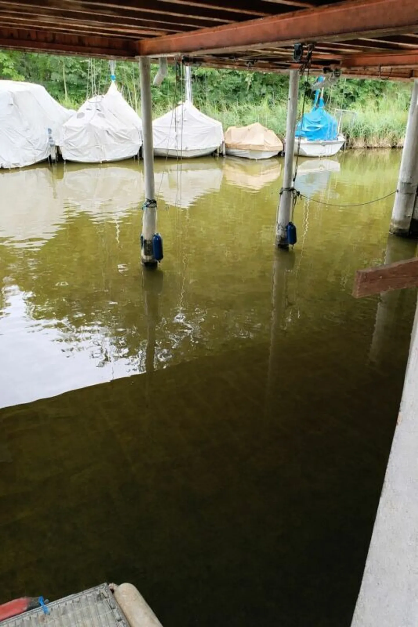 Überdachter Bootsplatz in Egnach - Foto 2 von 4