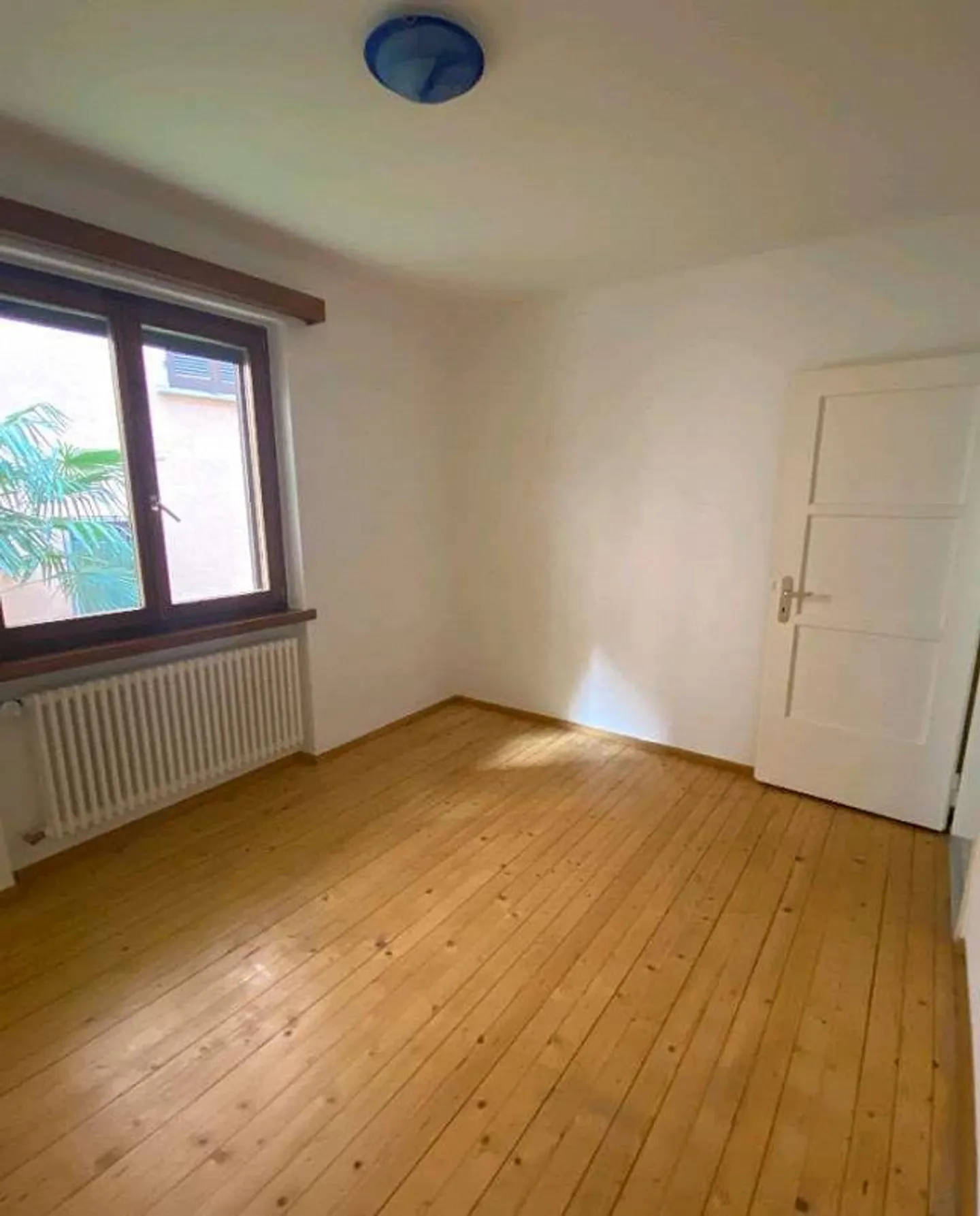 3.5 Locali ristrutturati a Dino - Posizione strategica, subito disponibile - Foto 2 di 7