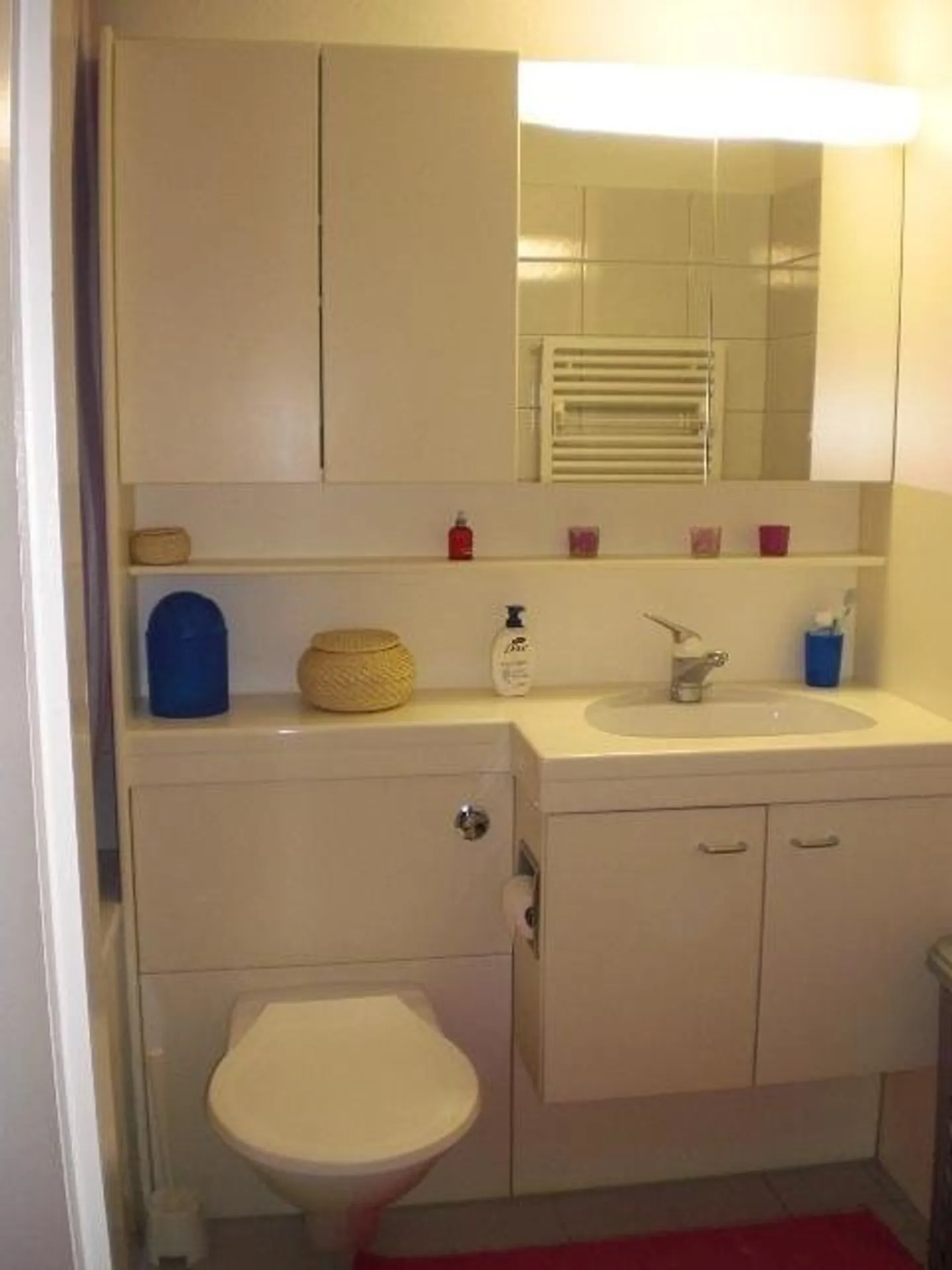 Charmante 1-Zimmerwohnung in Dietikon - Foto 4 von 5