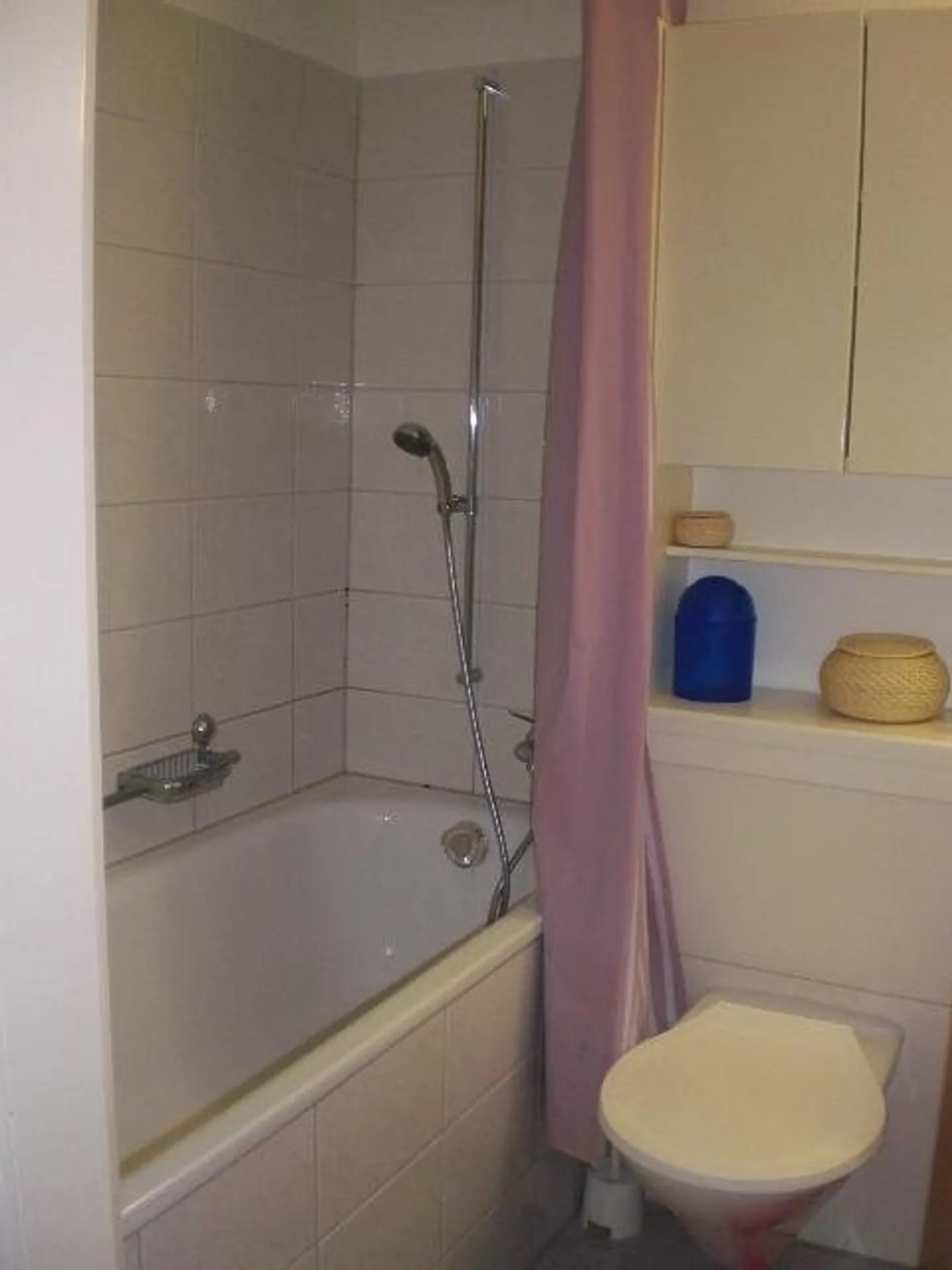 Charmante 1-Zimmerwohnung in Dietikon - Foto 5 von 5