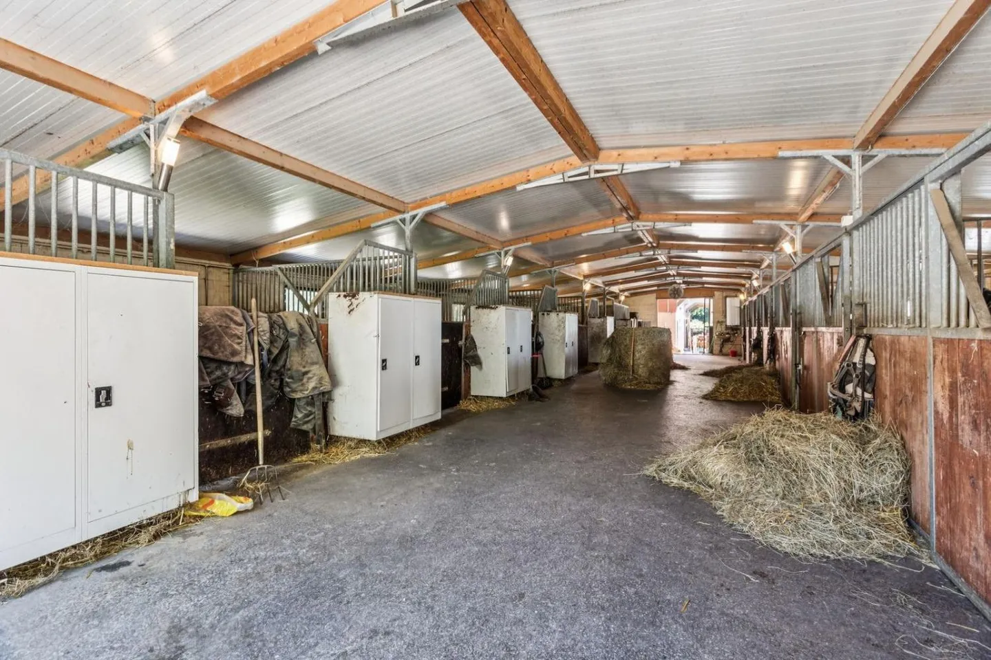 Reitzentrum mit modernem Komfort - Foto 4 von 13