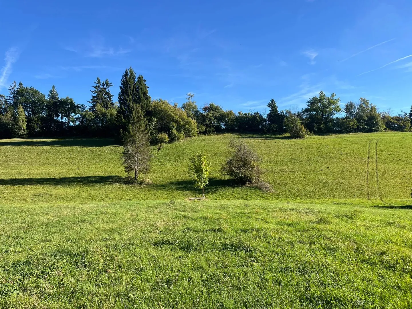 Chalet for sale - Photo 10 of 14