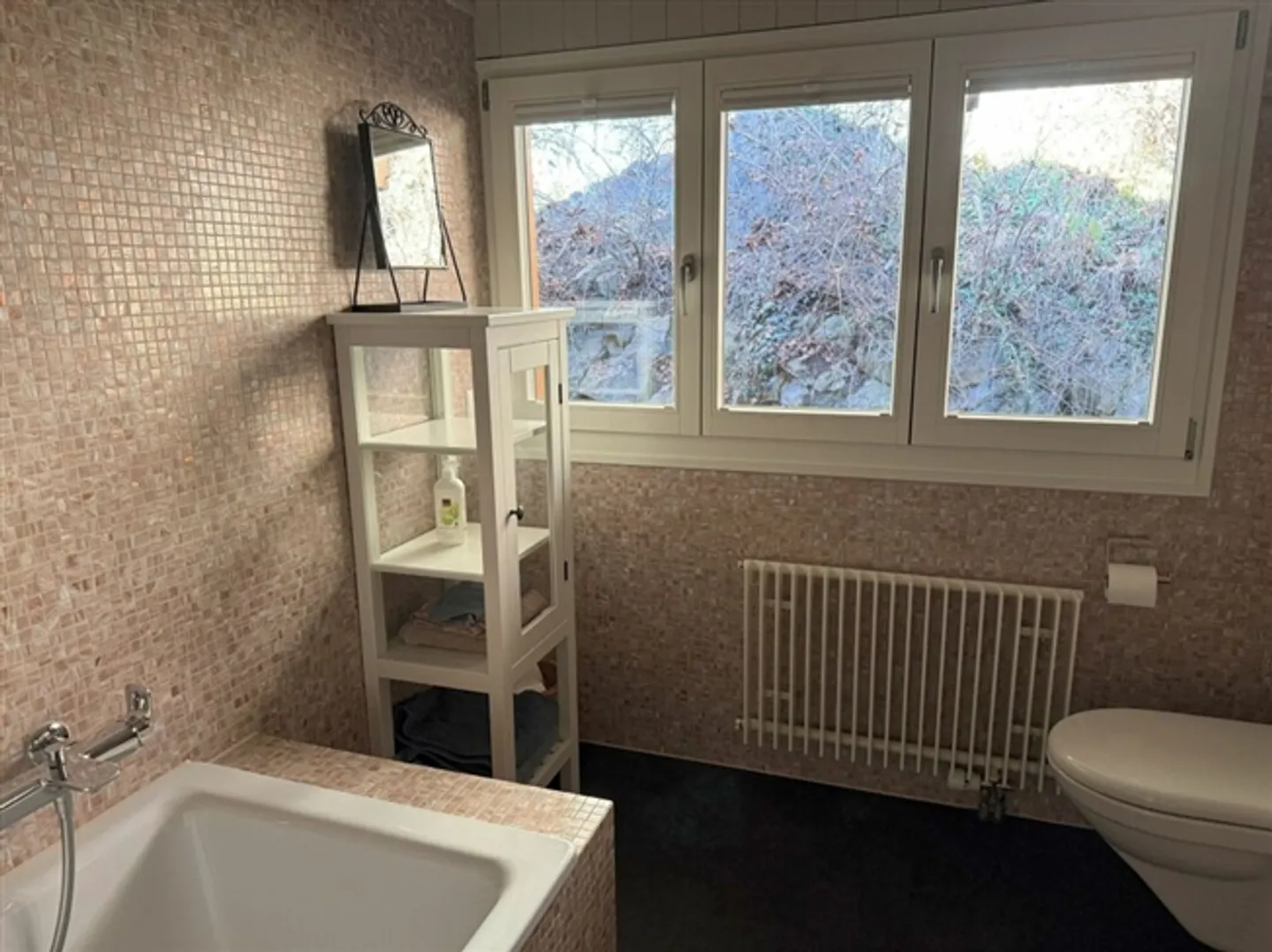 Holiday chalet or primary residence with very beautiful, unobstructed lake and mountain views - Photo 14 of 20